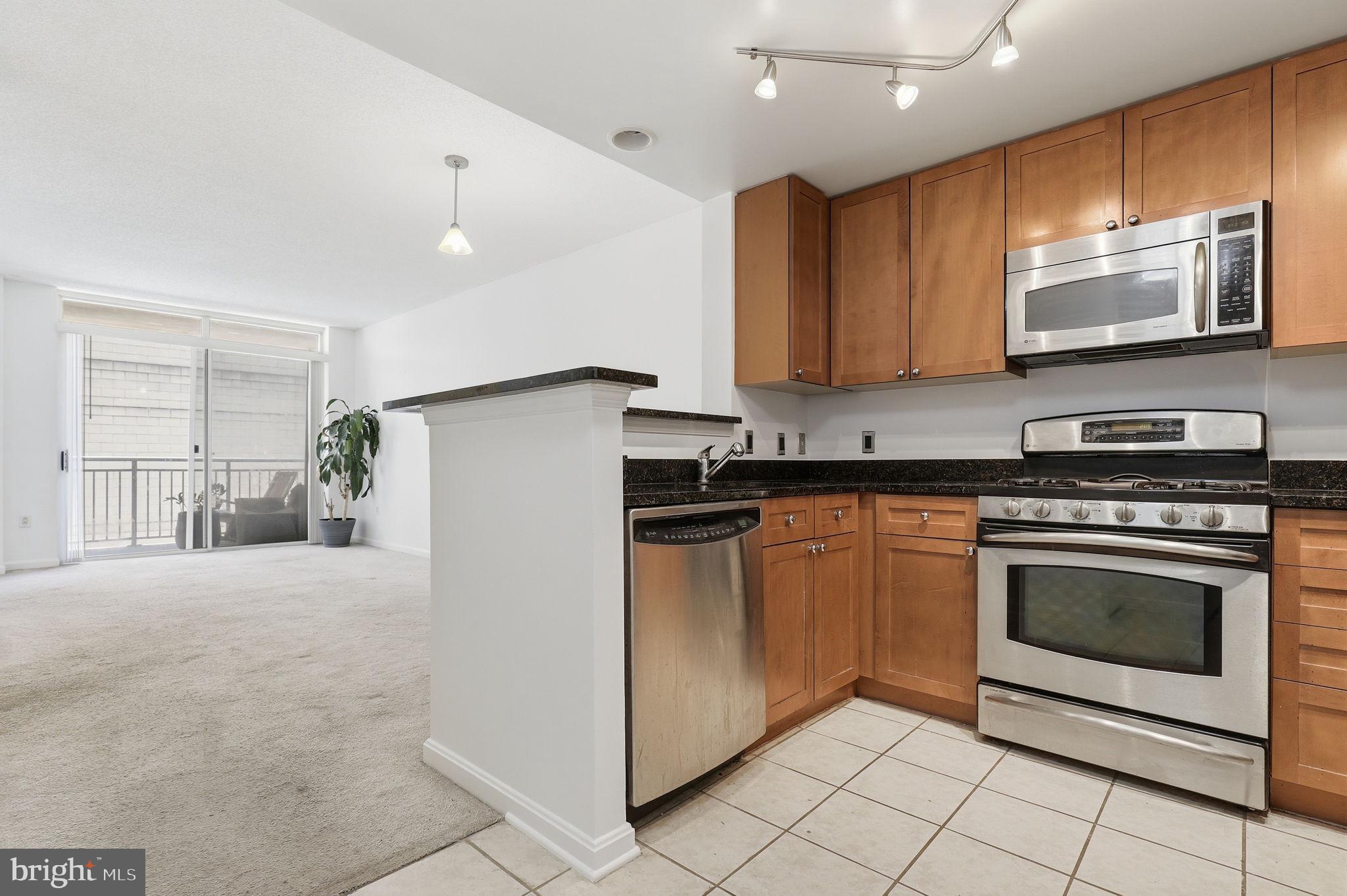DOWNTOWN SILVER SPRING - Residential