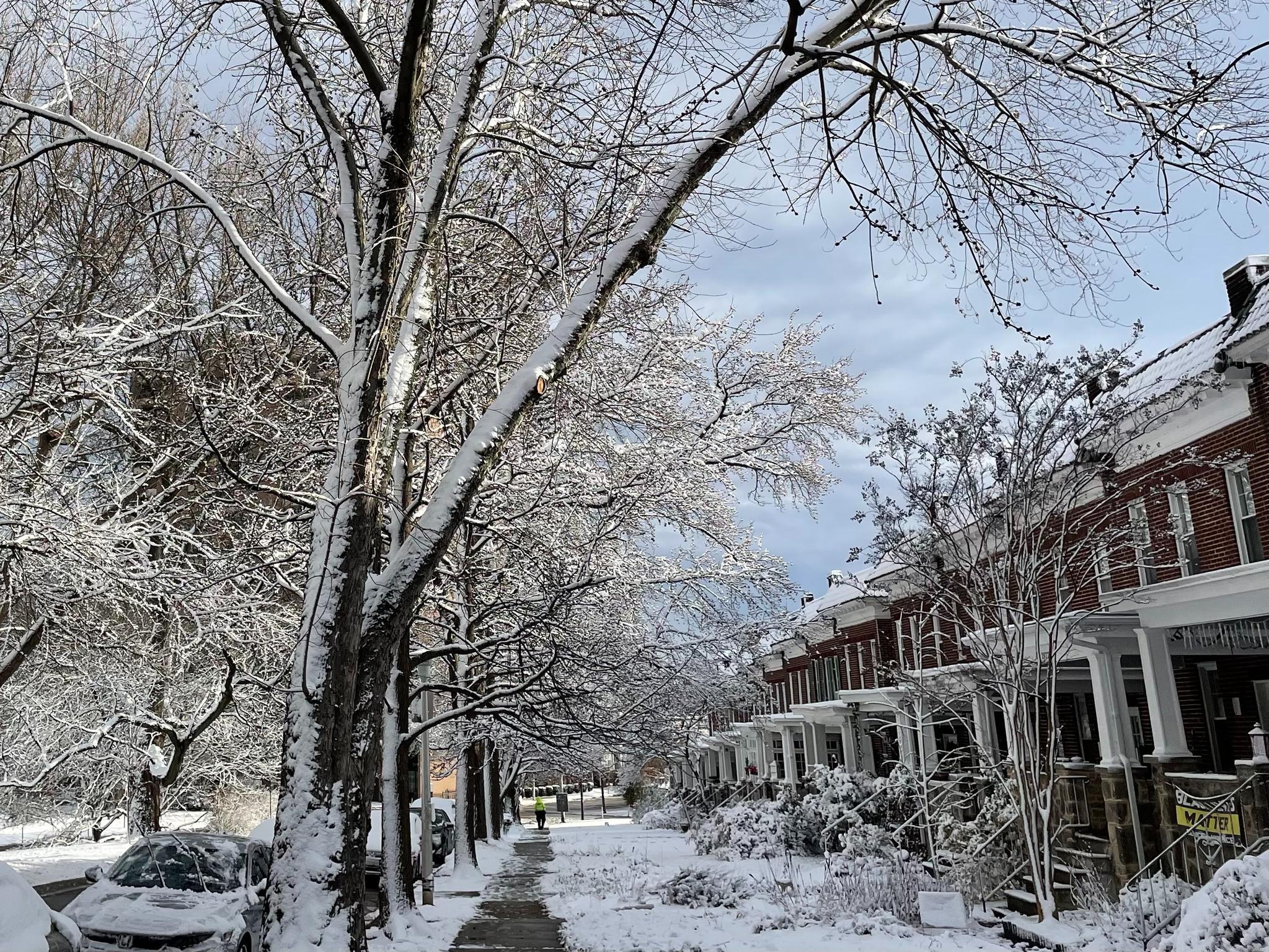 REMINGTON HISTORIC DISTRICT - Residential