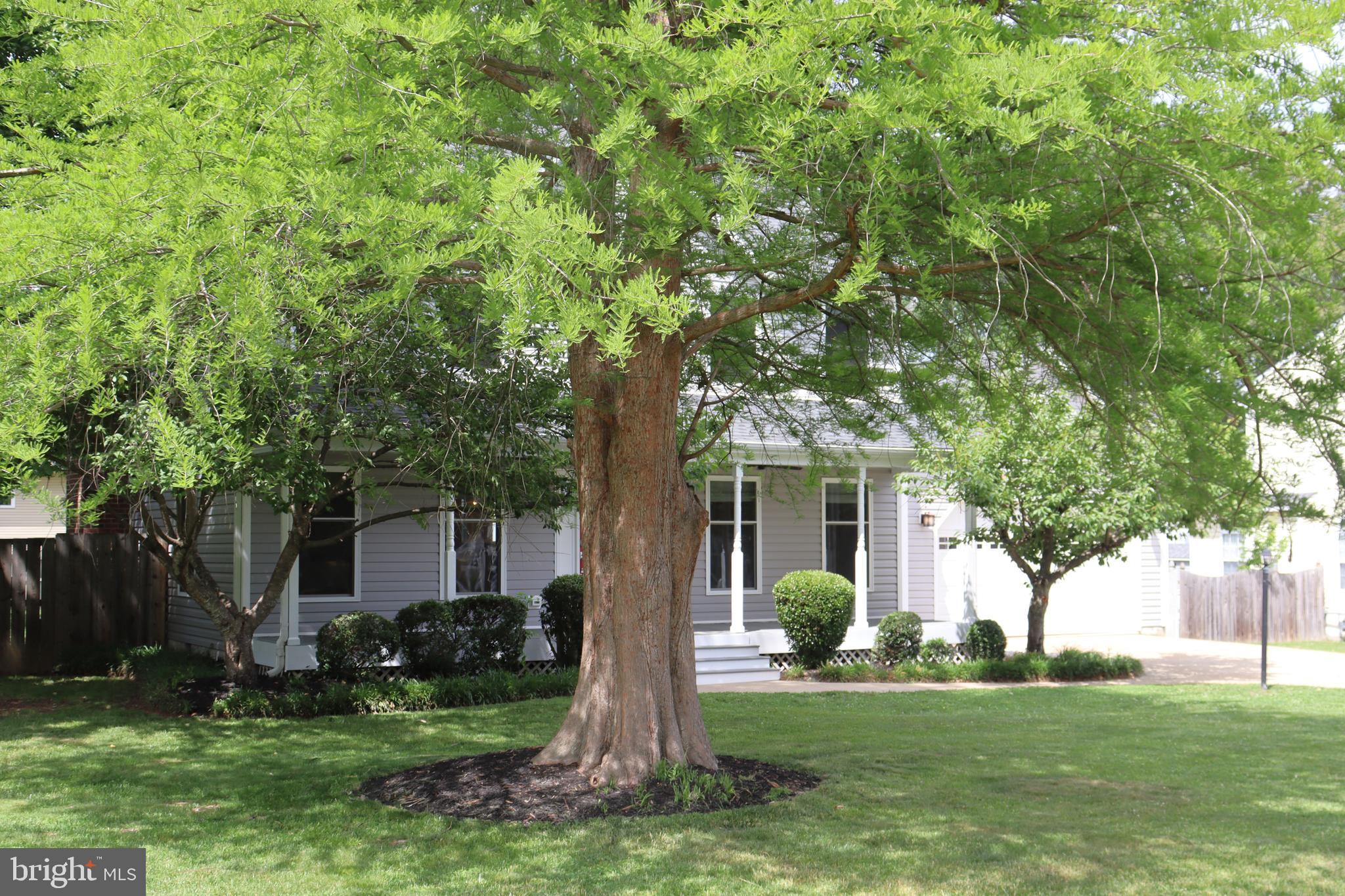 MAPLE GROVE - Residential
