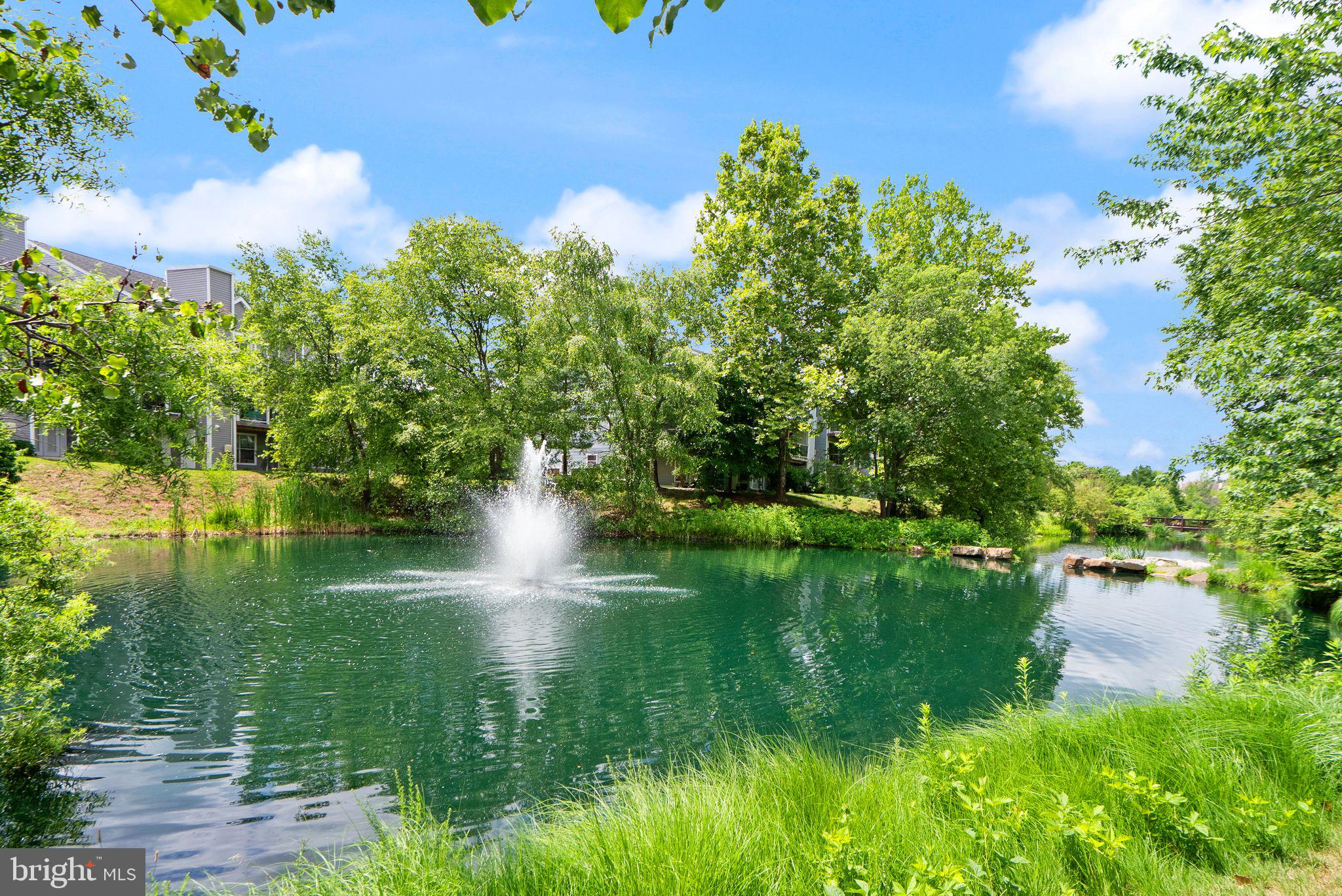 LAKESHORE CONDO - Residential