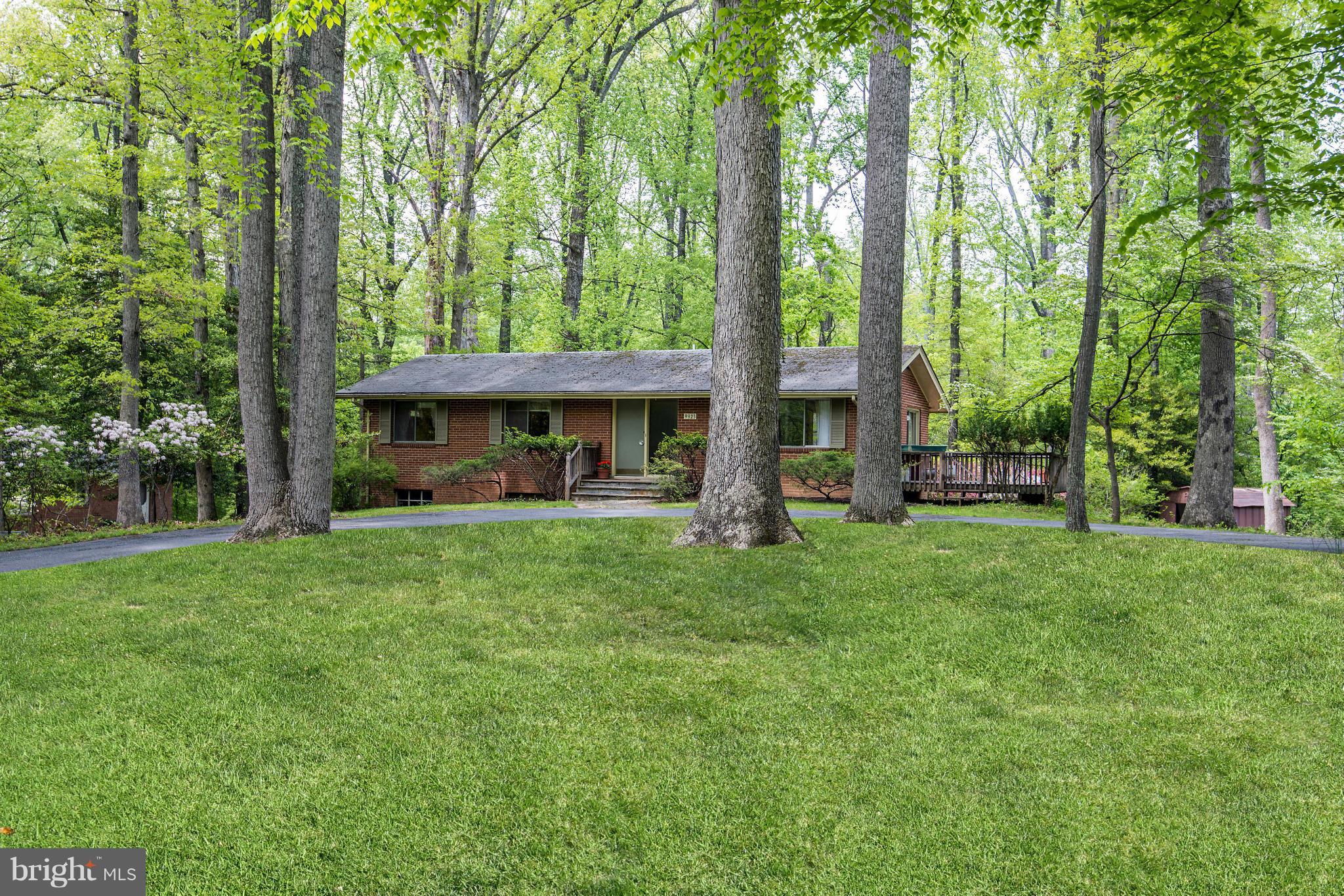 MAJOR PRICE REDUCTION!   WONDERFUL OPPORTUNITY TO RENOVATE ON A GLORIOUS .84 ACRE PRIVATE, PARTIALLY WOODED ACRE ON THE "STREET OF DREAM HOMES"!!!   PUBLIC WATER AND  SEWER  AVAILABLE, CALL FOR EASY APPOINTMENT TO SEE THE HOUSE AND/OR  WALK THE PROPERTY