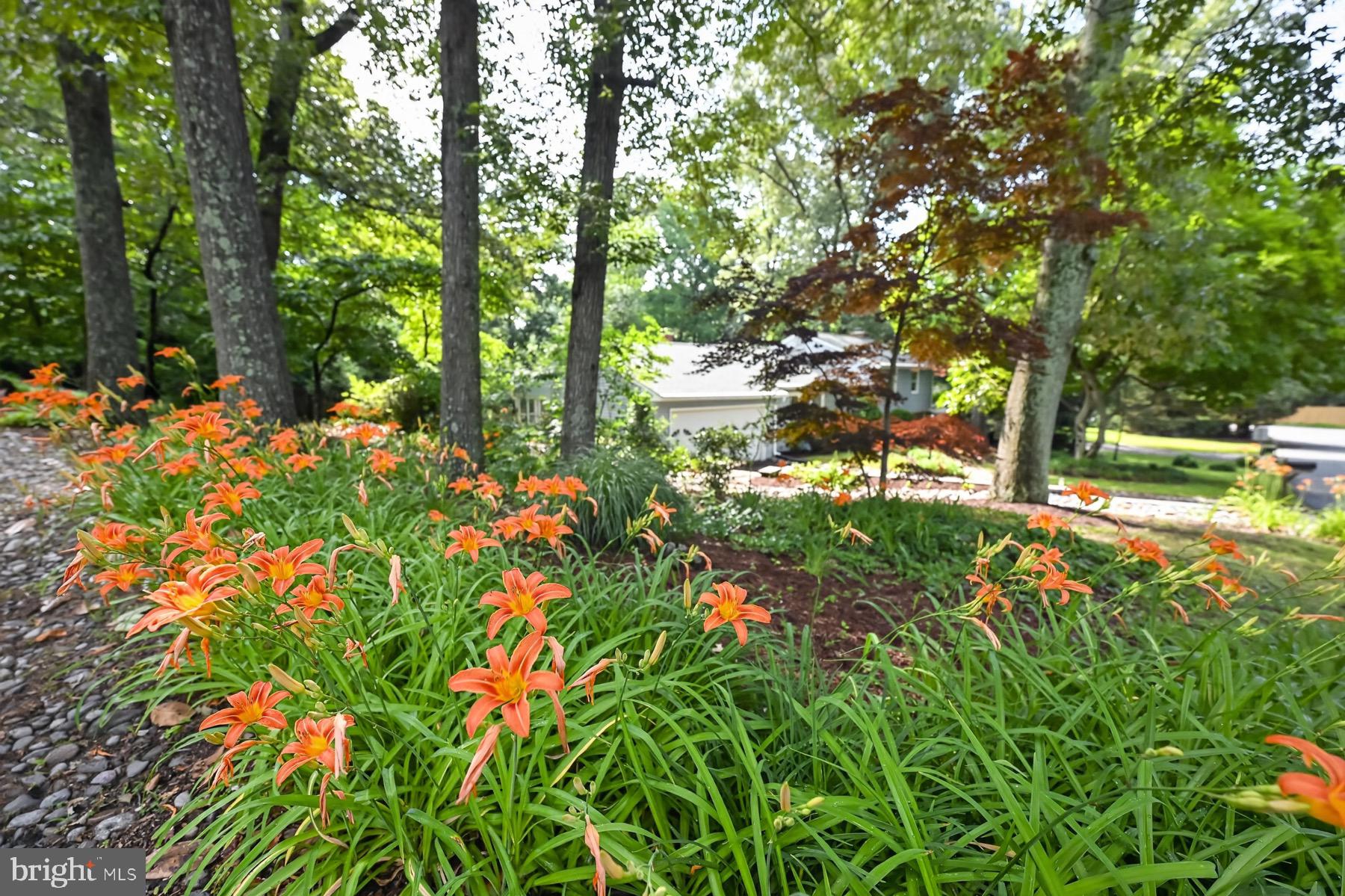 CHARTWELL - Residential