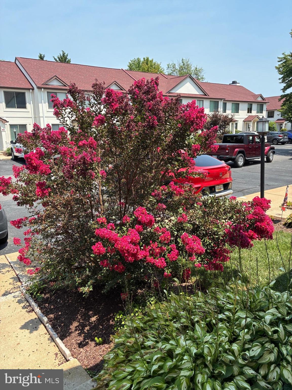 QUEENS LANDING - Residential