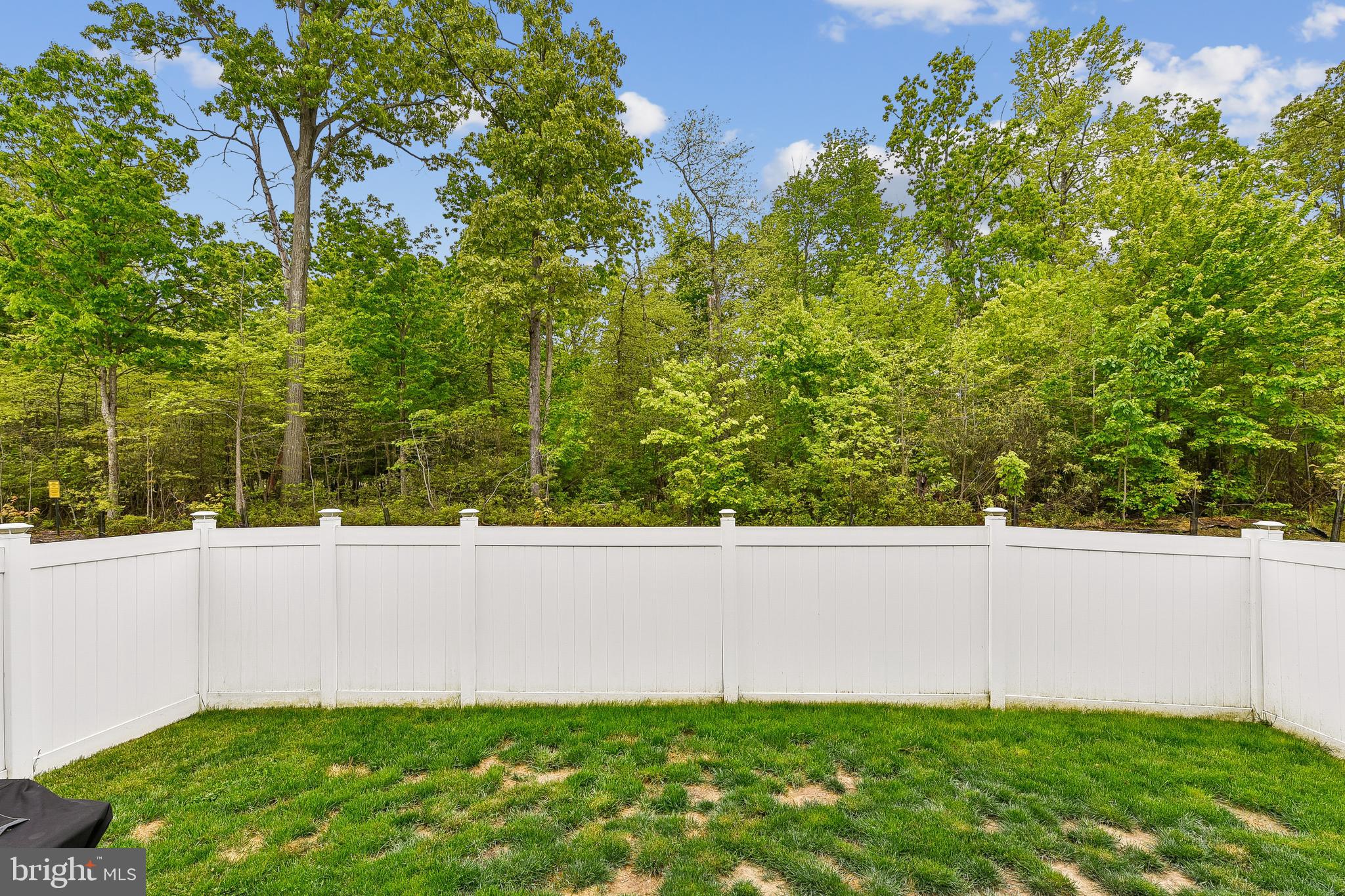 RIDGELY FOREST - Residential