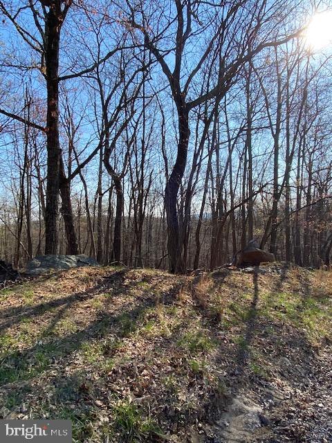 CACAPON HIGHLANDS - Land