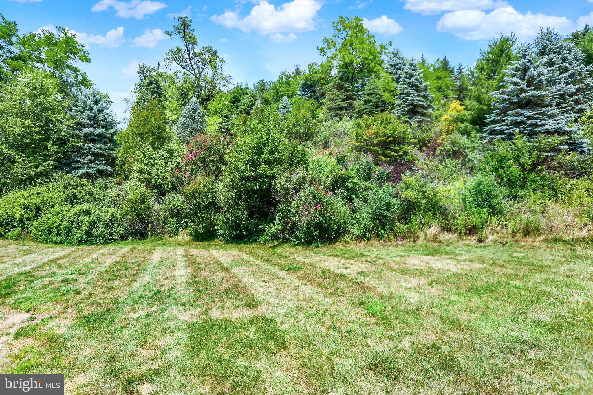 OLDE ORCHARD HILL - Residential