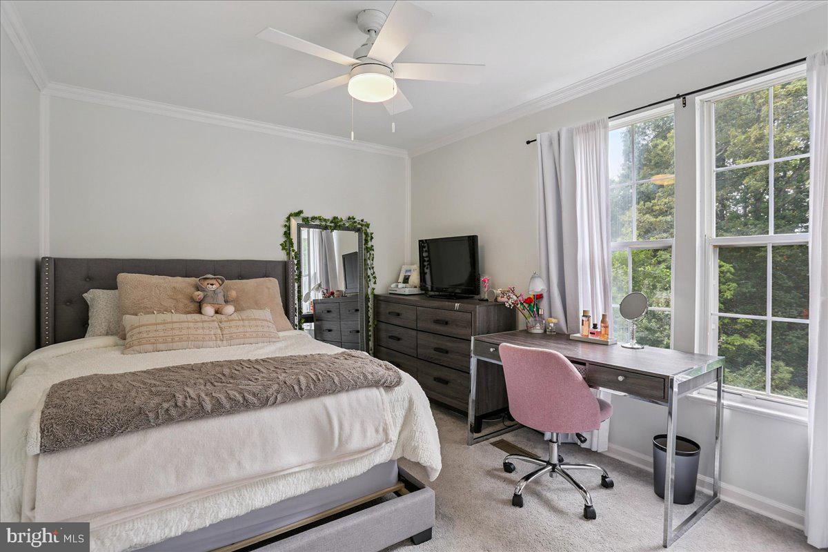 WELLINGTON/CLOVERHILL - Residential