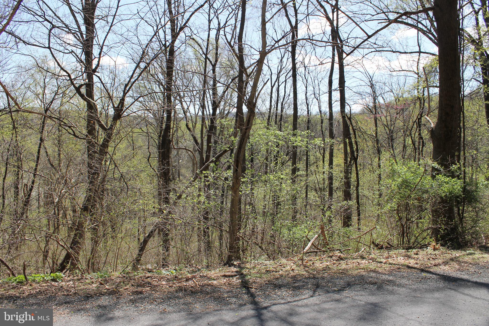 PERC TESTING ATTEMPTED!  Features on the land that need to be overcome in order to complete a perc test and/or develop this lot.   Report will be posted when available from the SEO.  Still has its Wonderful Moutain Views!  Wooded 0.52 Acre Parcel in Need of a Home!  This Parcel is located toward the cul de sac end of Mile Trail, a not-so-developed part of Carroll Valley Borough.   Imagine the views from the back deck!  If a little extra quiet is what you are looking for, this should do the trick.  Other homes have been built on the same side of the trail with a similar slope.  No HOA!  Sloped.  Well is required.  Zoned R-2 (Residential Low Density).  Located near local, state, and national parks: outdoor recreation to include golfing, skiing, hiking, fishing & more; ideal location for commuters to leave work at work and retreat to this quiet & remote locale.  Schedule your showing today and see it for yourself.