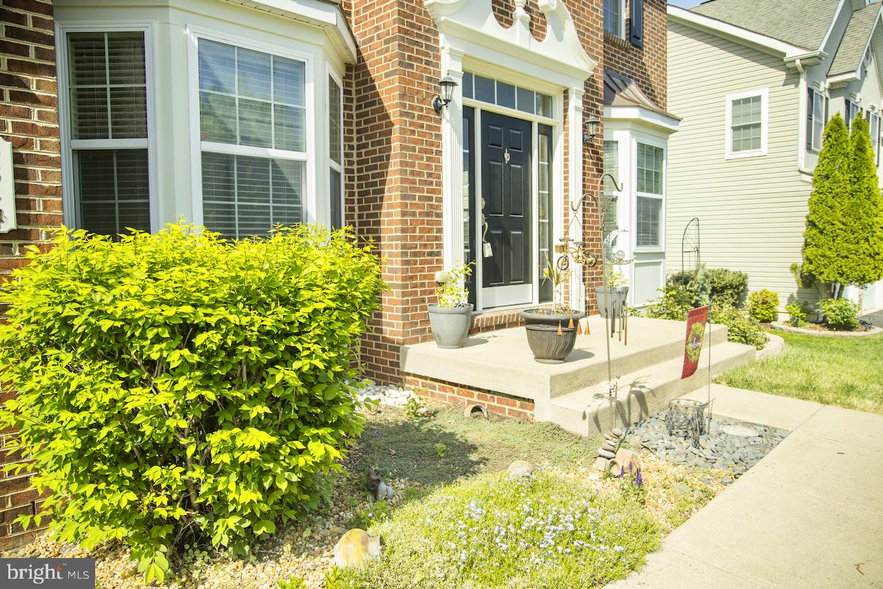 SPRIGGS RUN ESTATES - Residential