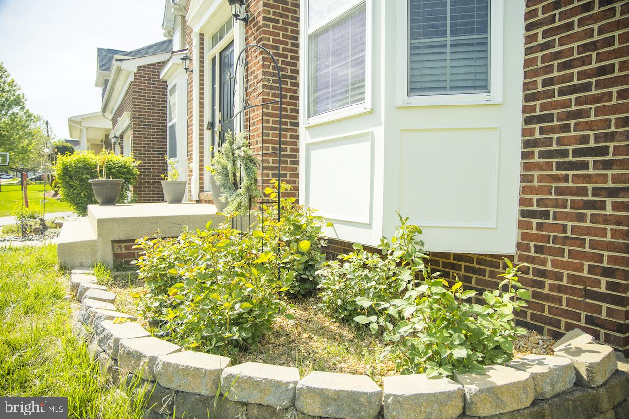 SPRIGGS RUN ESTATES - Residential