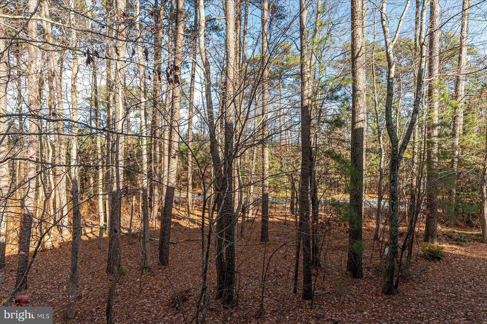 GLEN RIDDLE - Residential