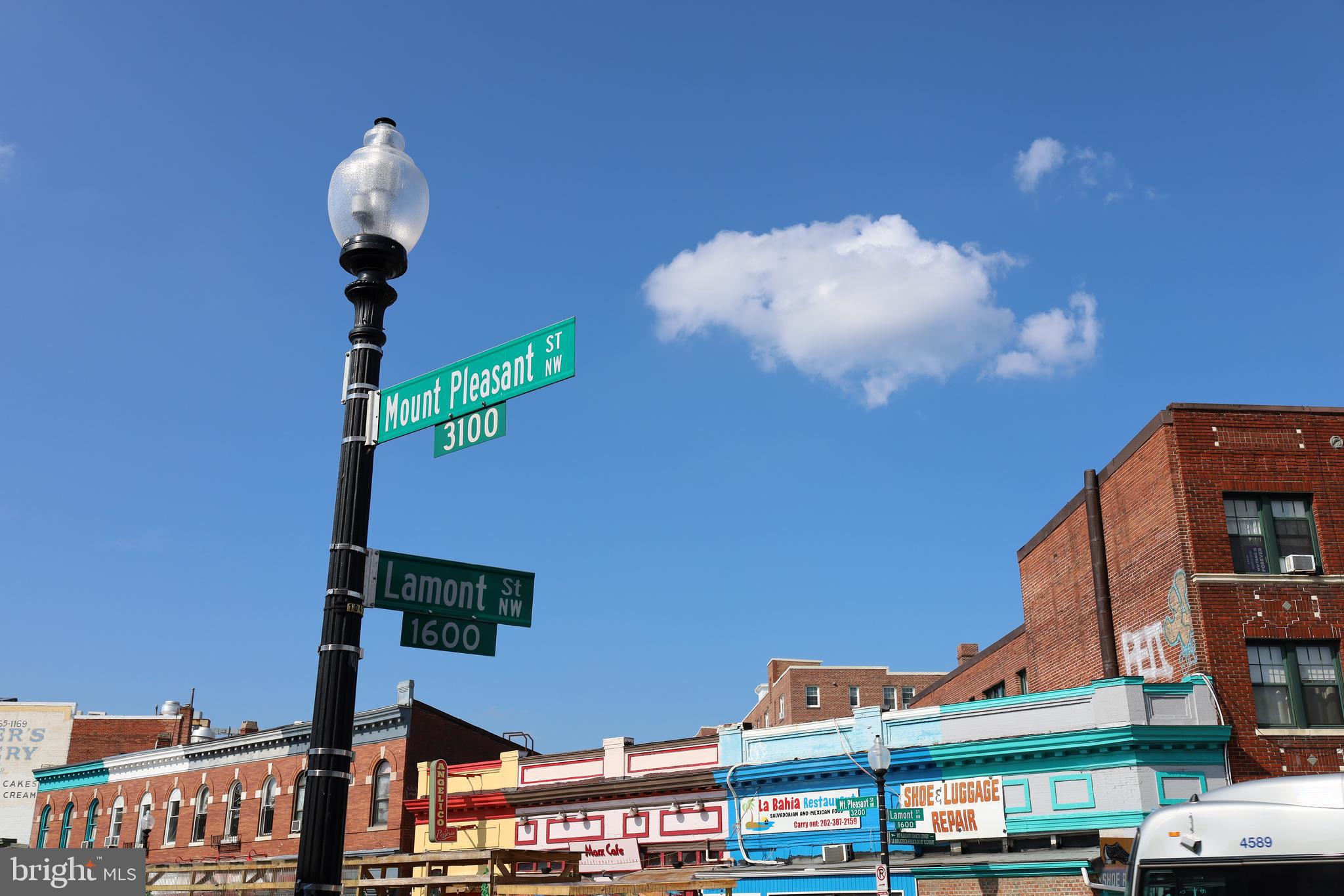 MOUNT PLEASANT - Residential