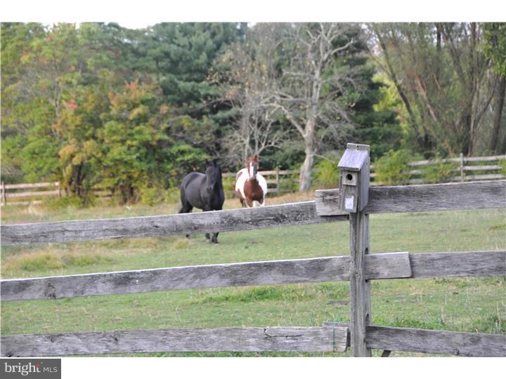 NEW GALENA - Farm