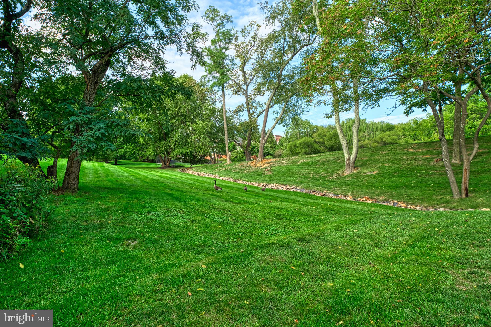 BEACON HILL - Residential