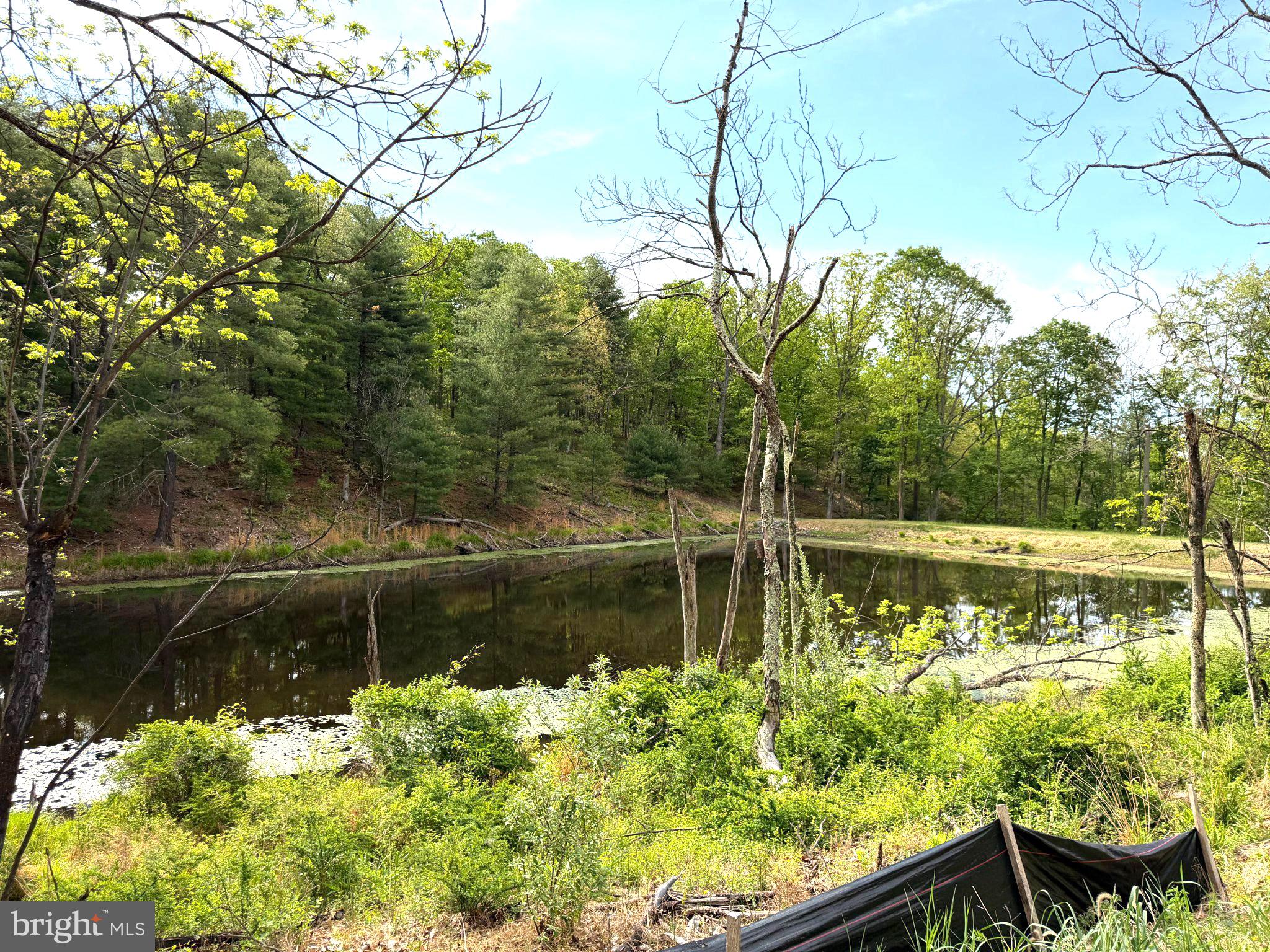<p>Discover a serene escape on this stunning 5.09-acre lot in Holiday Equestrian Estates Section Two! Perfectly nestled in a partly wooded landscape, this property offers both privacy and tranquility. Imagine waking up to the gentle sounds of nature, with breathtaking views of a picturesque pond and lush trees that create a peaceful backdrop for your dream home.<p>

<p>Located in an area of new and upscale homes, this exceptional property boasts exclusive waterfront access to Lake LuAnn (approx 1 acre in size)!  Whether you enjoy canoeing, kayaking, or fishing, this private oasis is your gateway to endless outdoor adventures. There is also access to a mile-long horse trail!  Yes… up to 2 horses allowed with adequate fencing!<p>
  
<p>The combination of wooded areas and open pasture creates a perfect balance for those seeking a retreat from the hustle and bustle. With ample space to build your ideal residence, this property offers the perfect canvas for your vision.  A proposed house site with views of Lake LuAnn has been marked on the lot.  Embrace the opportunity!<p>
 
<p>There are Covenants & Restrictions for Holiday Equestrian Estates available for review.  Also available is a VDH Certification Letter for a 4-BR perk dated May 2024.  Don't miss your chance to own a piece of paradise located only 20 minutes from Winchester’s amenities!<p>