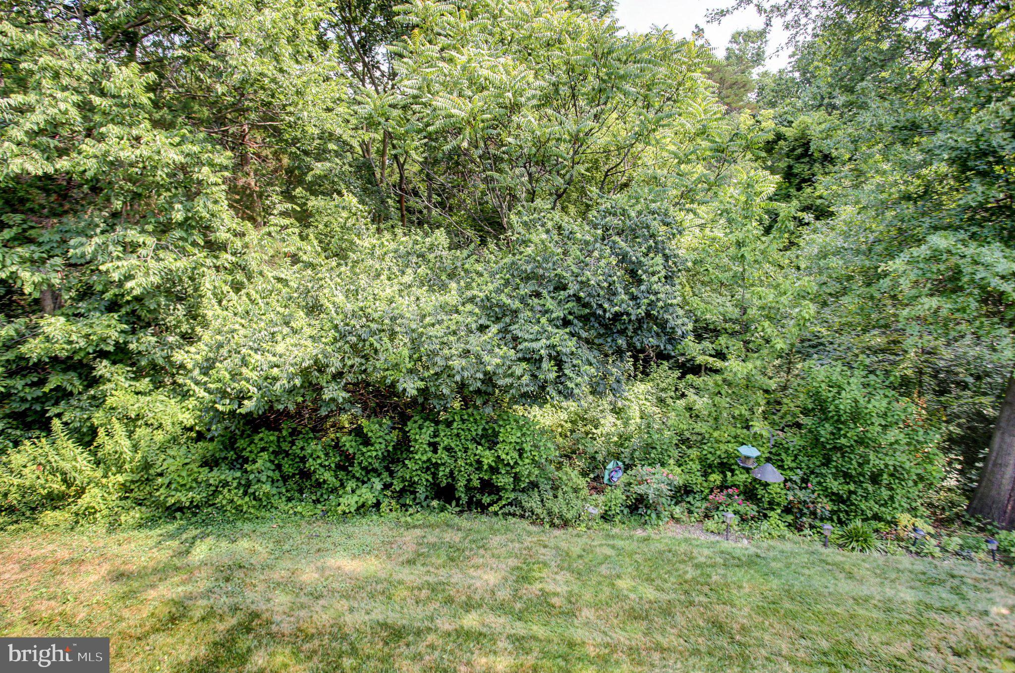 MELROSE MEADOWS III - Residential