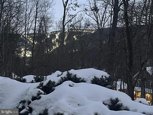 MASSANUTTEN - Residential