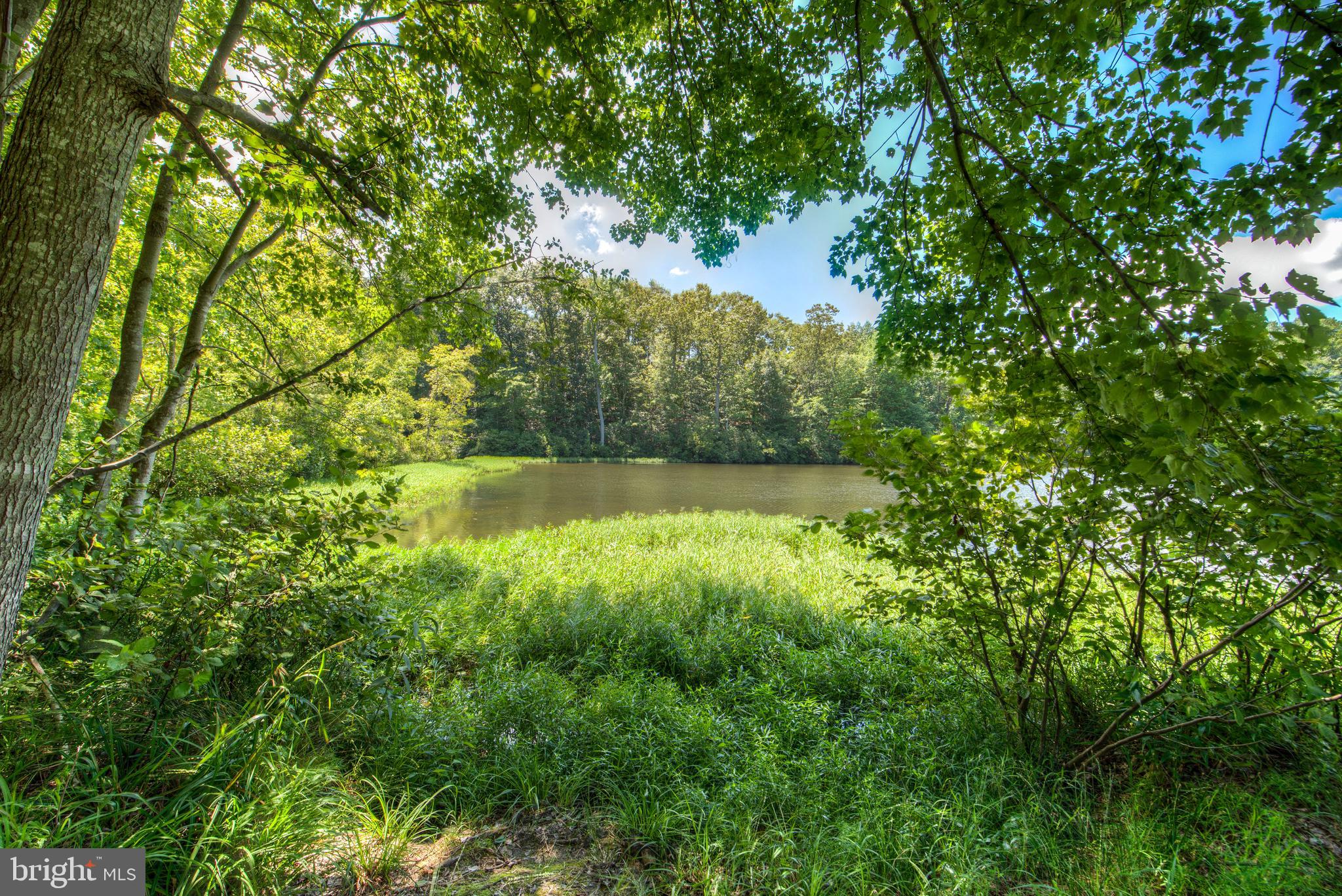 LAKE WILDERNESS - Residential