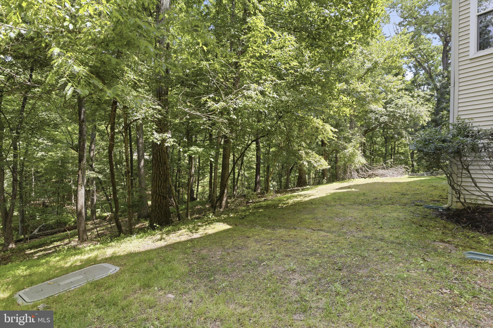 HOLLINGTON AT THE POINTE - Residential