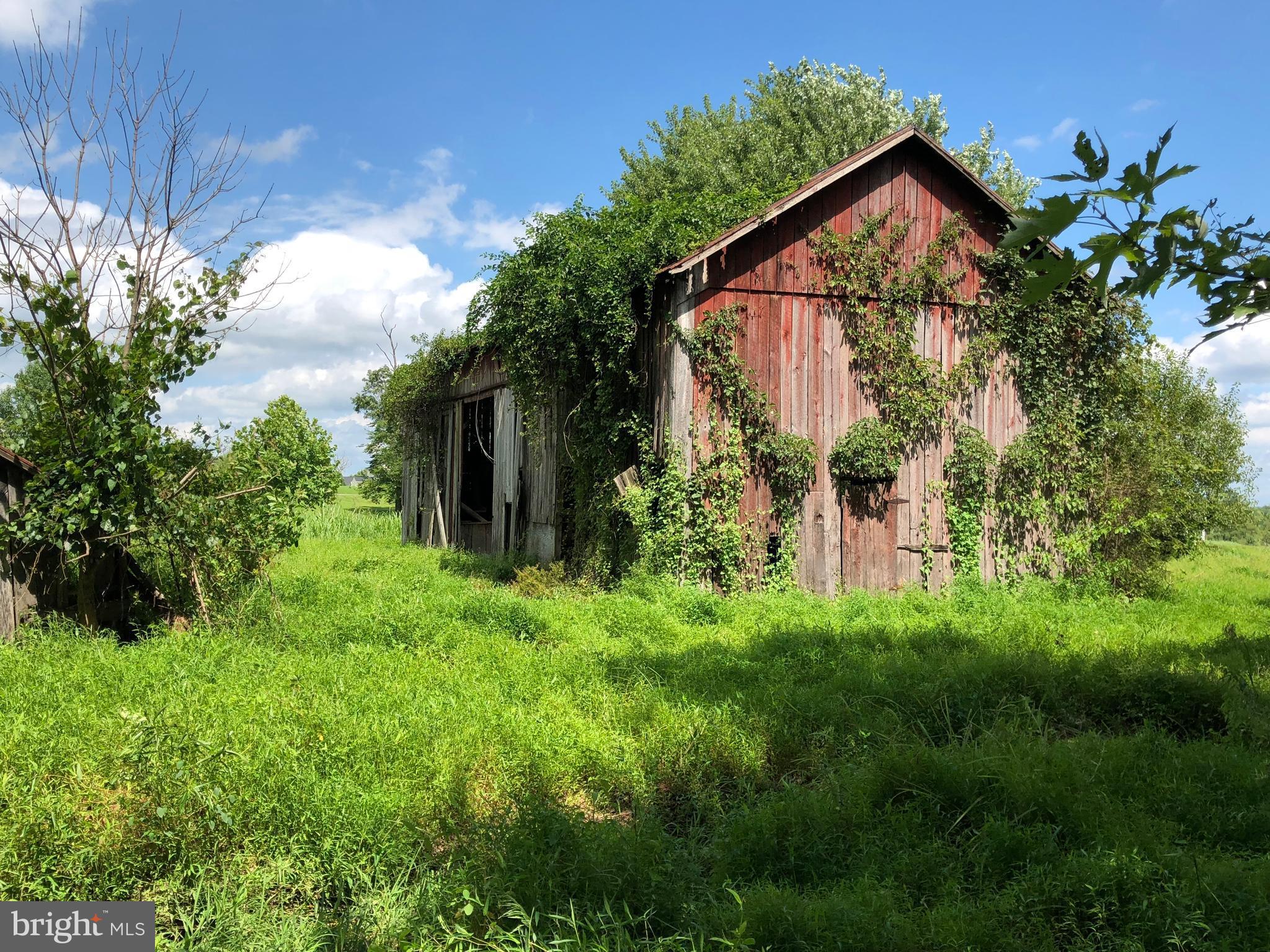 LOY ESTATES II - Land