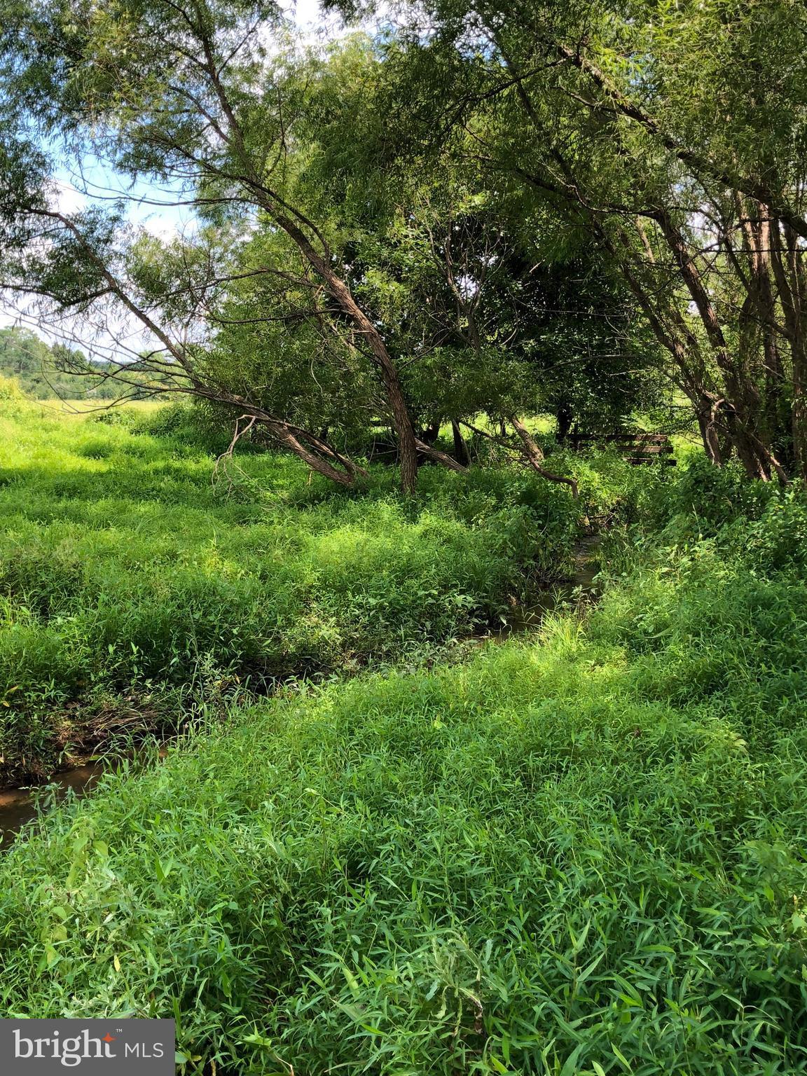 LOY ESTATES II - Land
