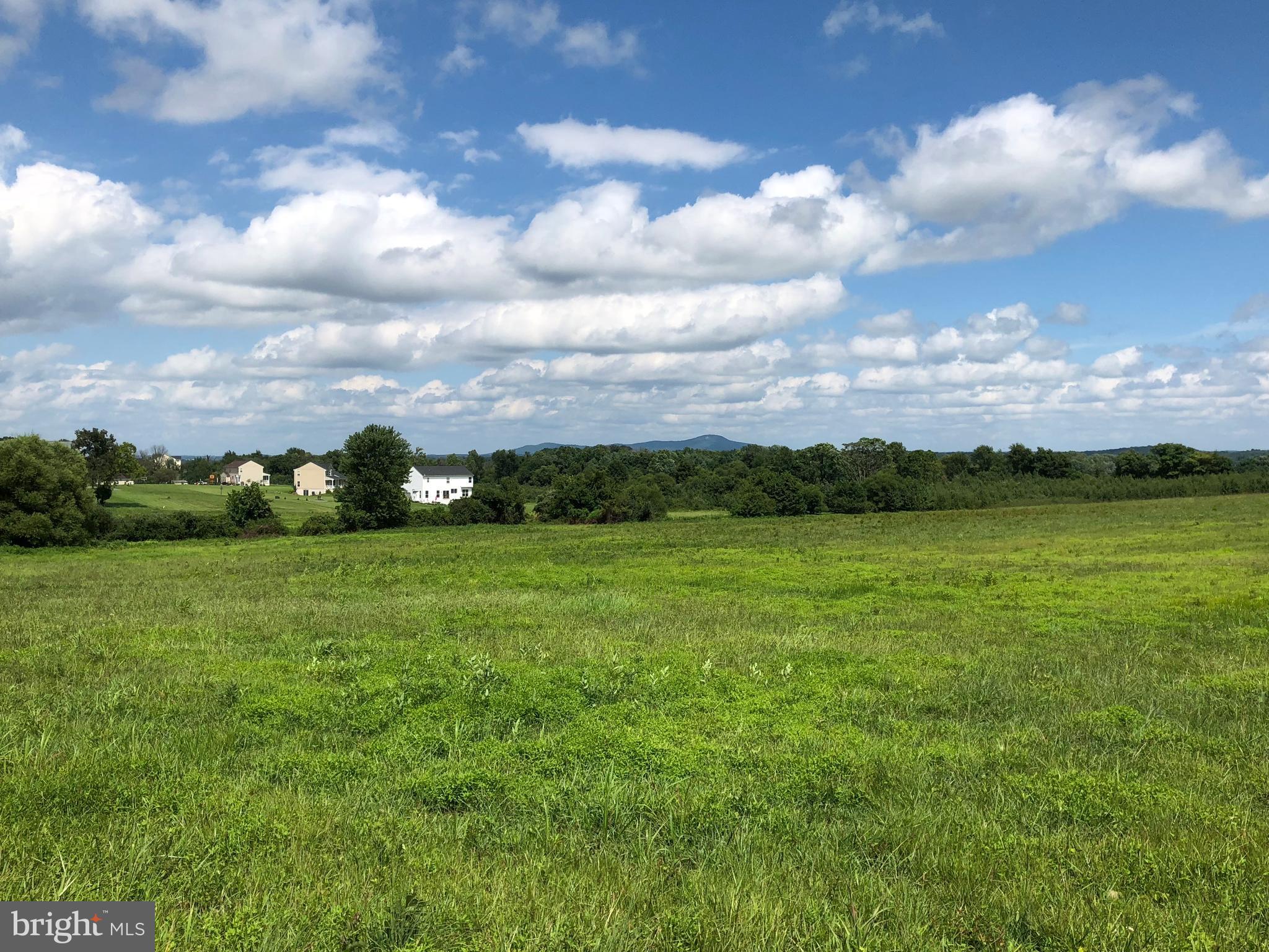 LOY ESTATES II - Land