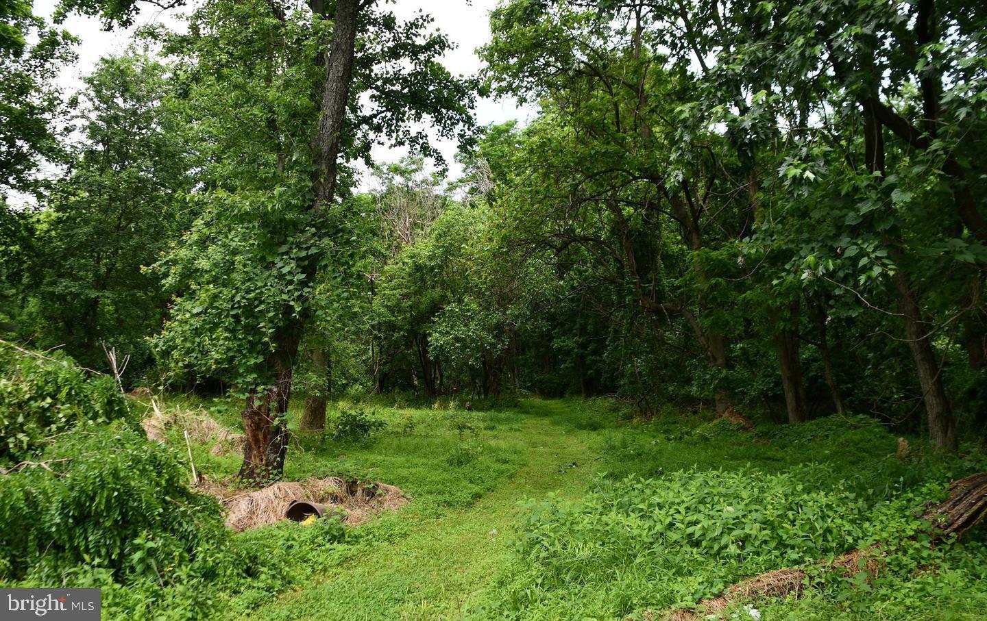 Exceptional 2.13-Acre Buildable Lot in Sought after Darnestown!

Discover the perfect opportunity to build your dream home on this prime 2.13-acre lot, tucked away on a private pipestem for added seclusion. Conveniently located between 14520 and 14524 Jones Lane, this expansive property has been percolation tested (results available in documents) and offers access to public water.

Surrounded by homes valued between $800,000 and $2,200,000, this lot is situated in the desirable Darnestown/North Potomac area. Zoned R200, the property provides excellent potential for a custom build in a well-established community. Don't miss this rare chance to create your ideal home in a prime location!

For more details or to schedule a visit, contact us today.