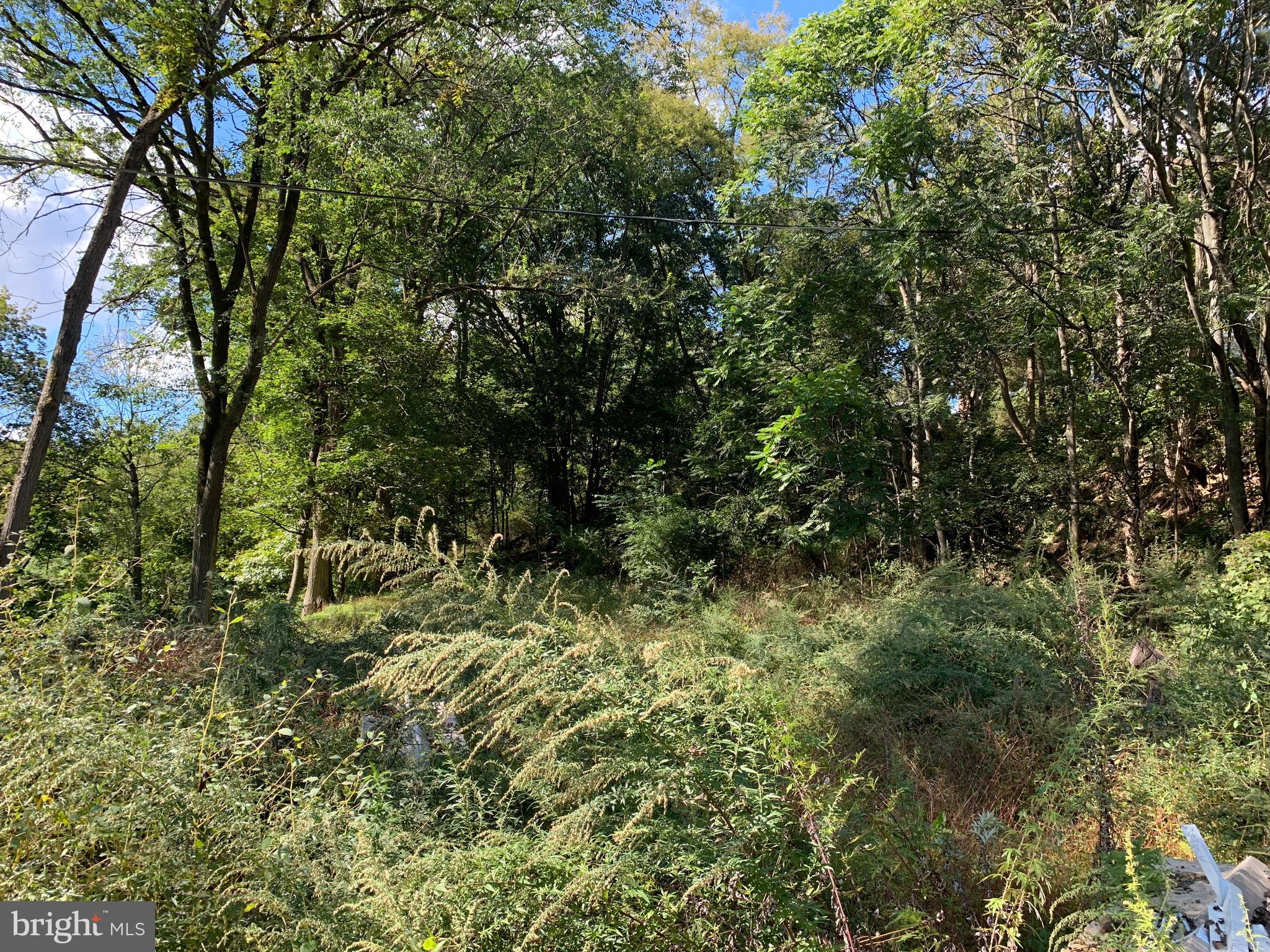 Vacant Land. Land is wooded & NOT perc tested. Well & Septic Necessary. Bring your own builder & build your dream home! This location could be your secluded oasis in the woods!  Access to lot is off of Lake Dr.  Blue Mountain Schools. Zoning is R-2 & permitted uses allow for 1 or 2 homes or 1 duplex.