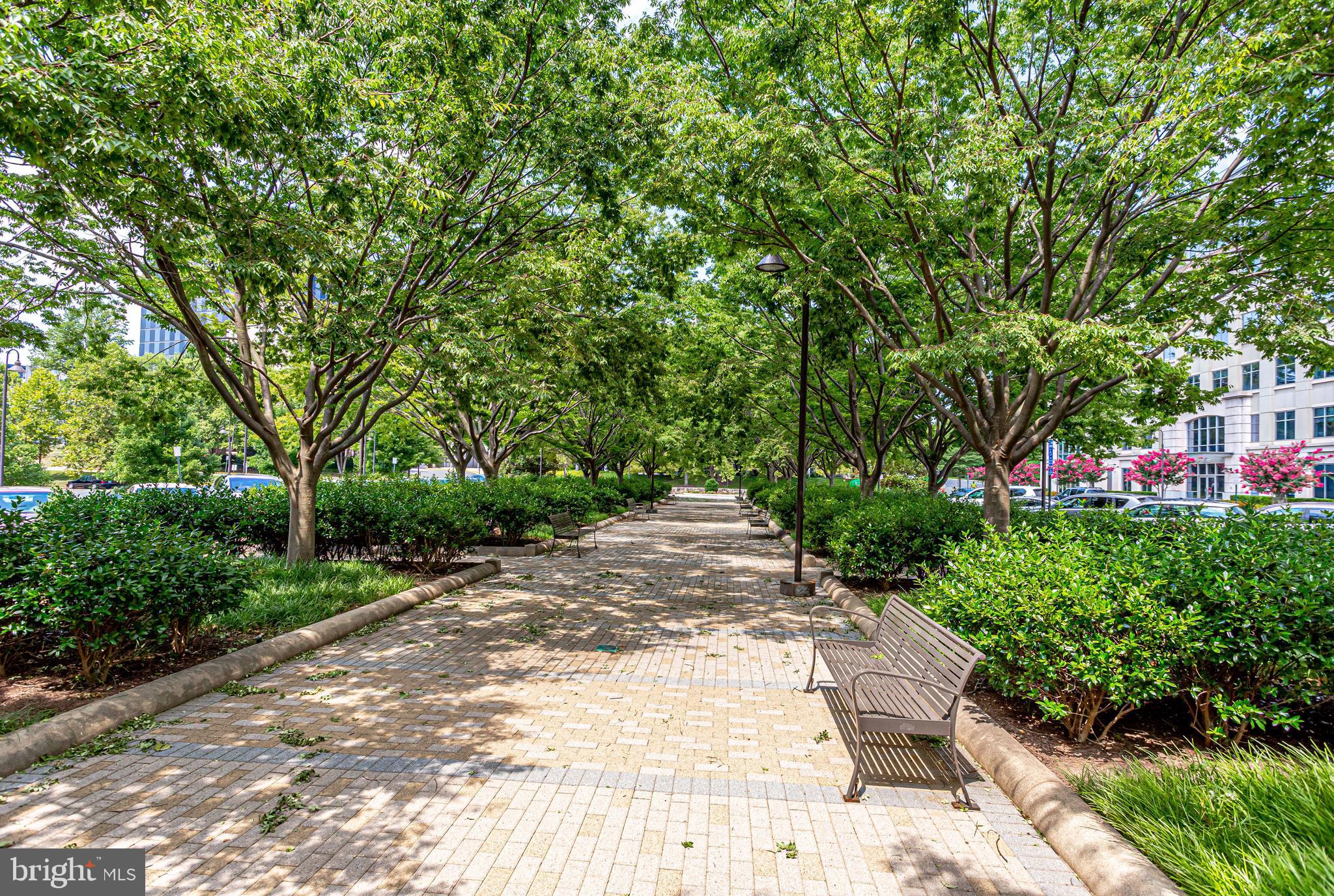 THE MERCER AT RESTON SQUARE - Residential
