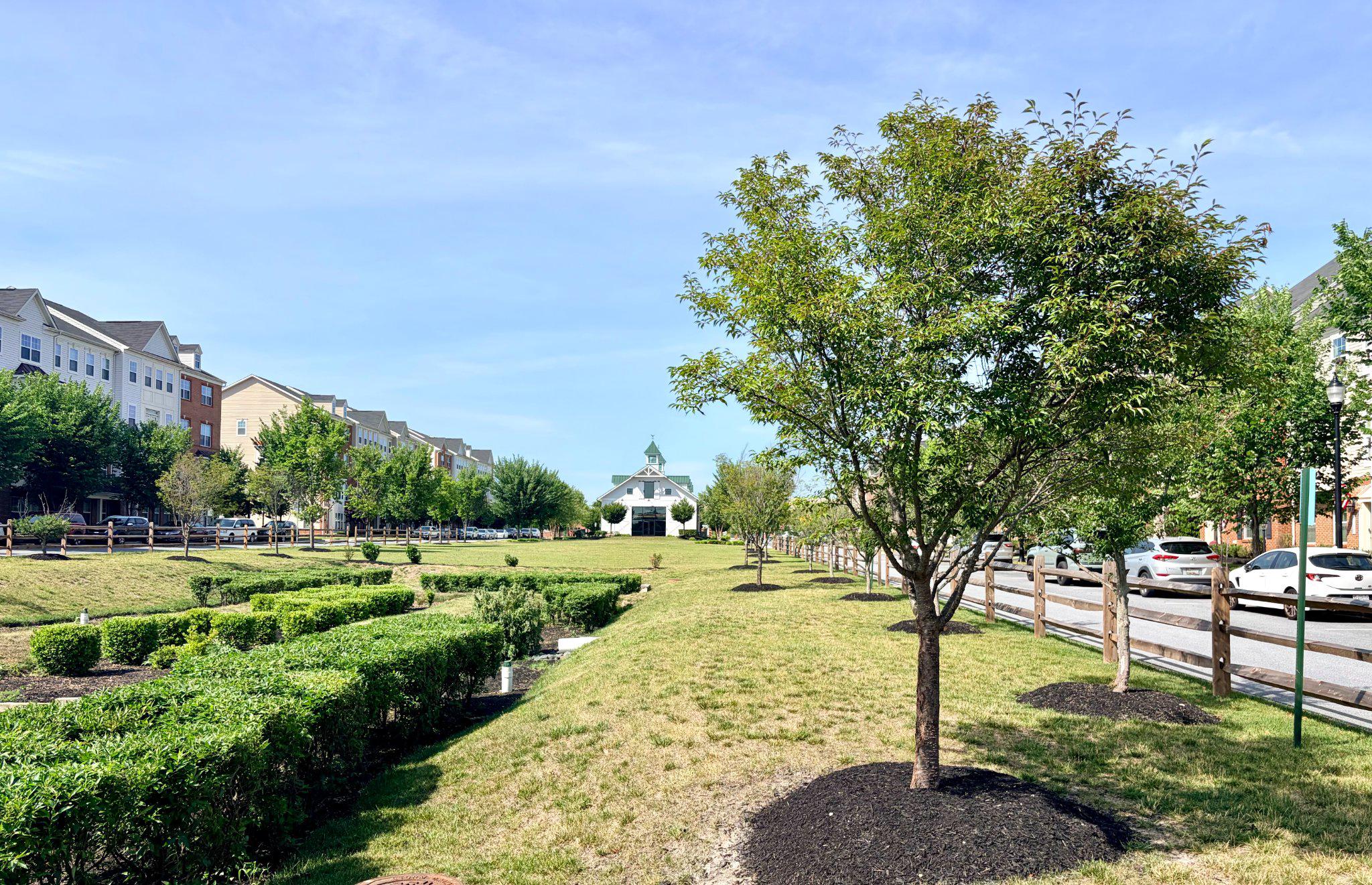 OXFORD SQUARE - Residential