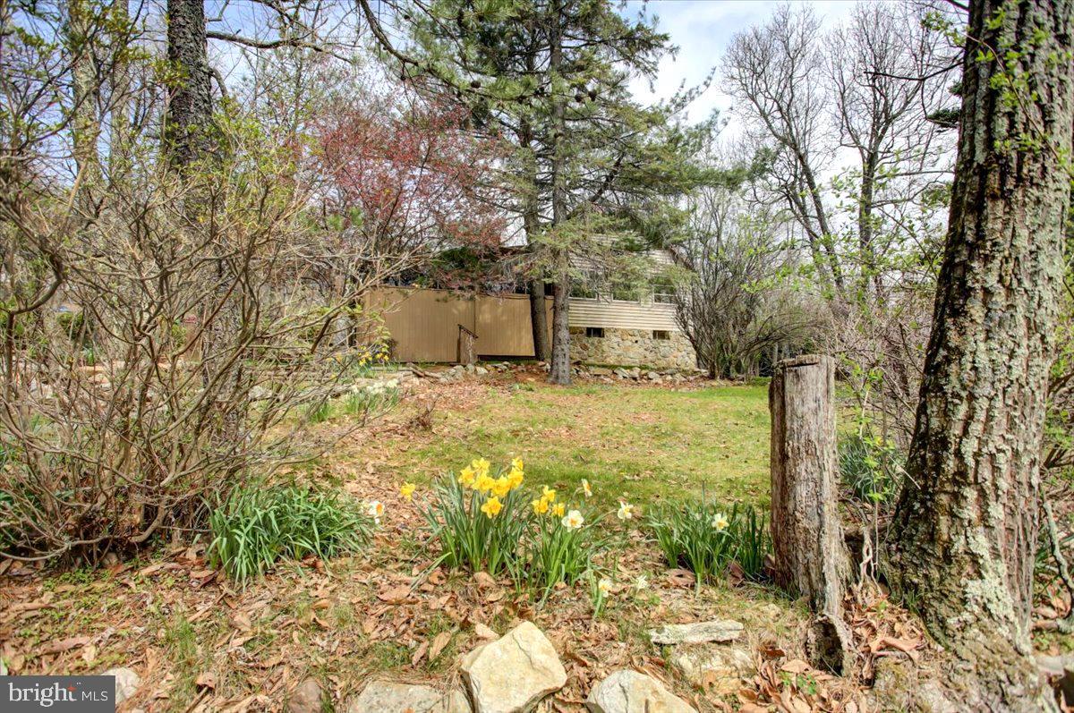 TUSCARORA HEIGHTS - Residential