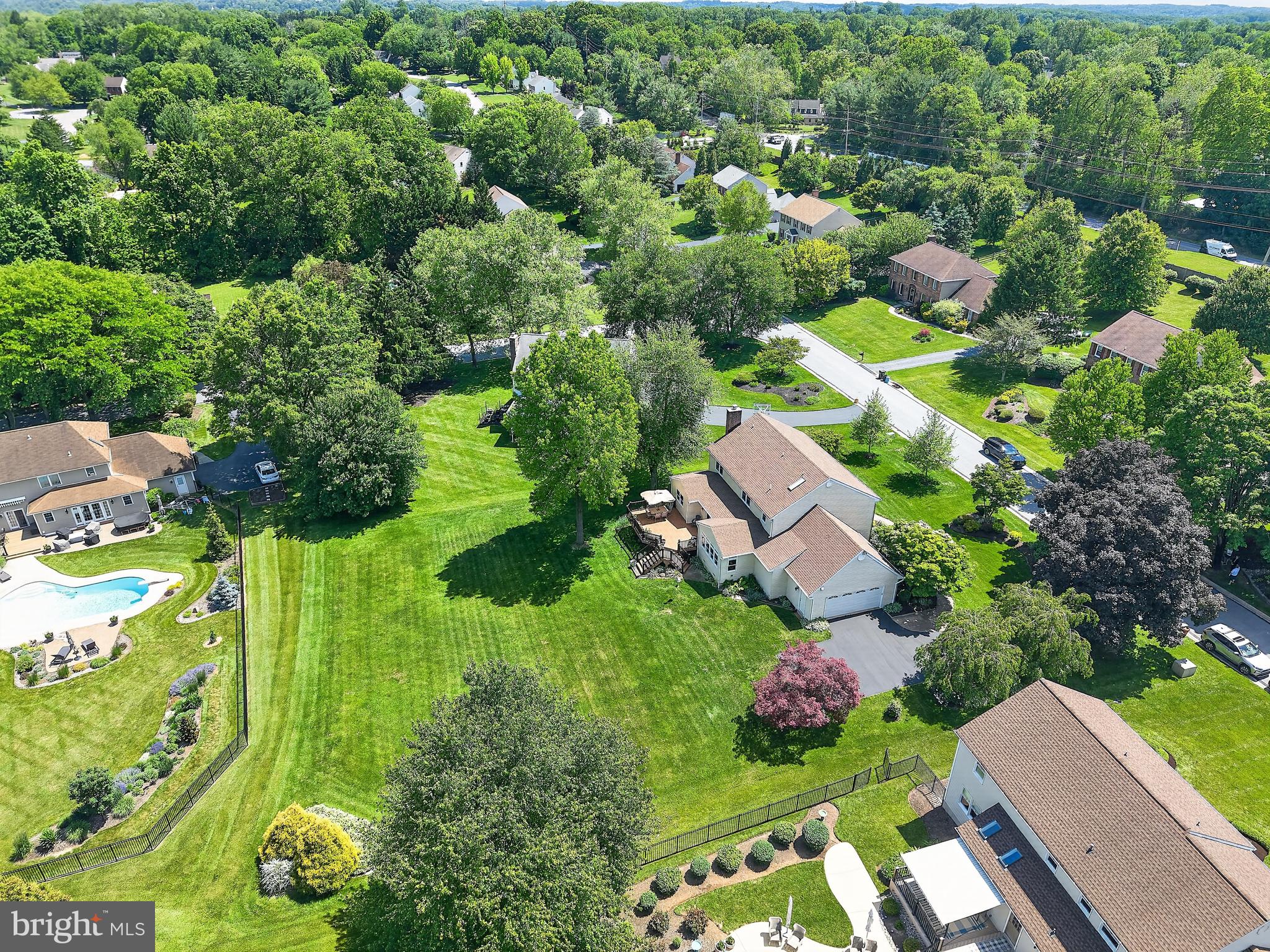 BOW TREE - Residential