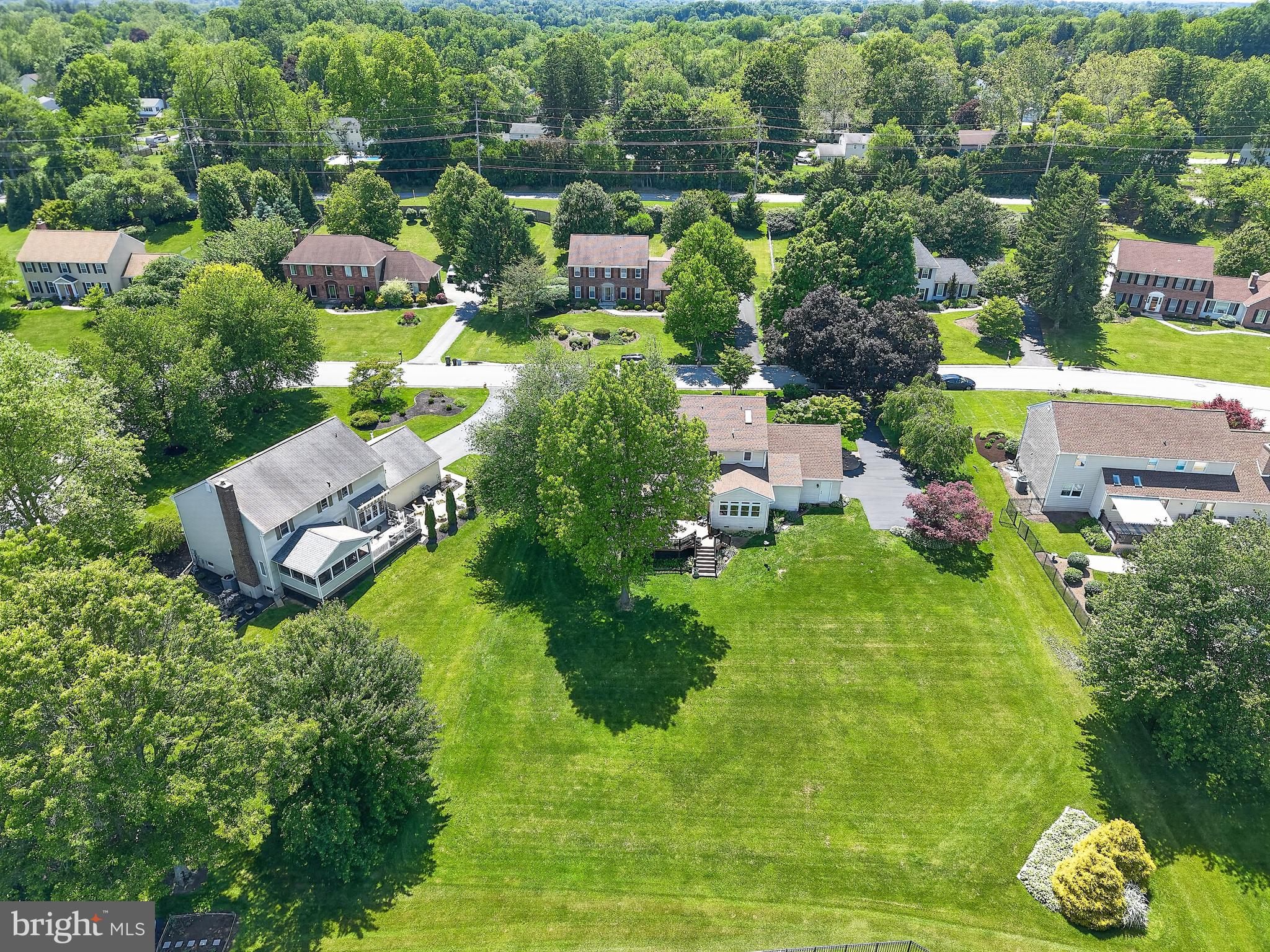 BOW TREE - Residential
