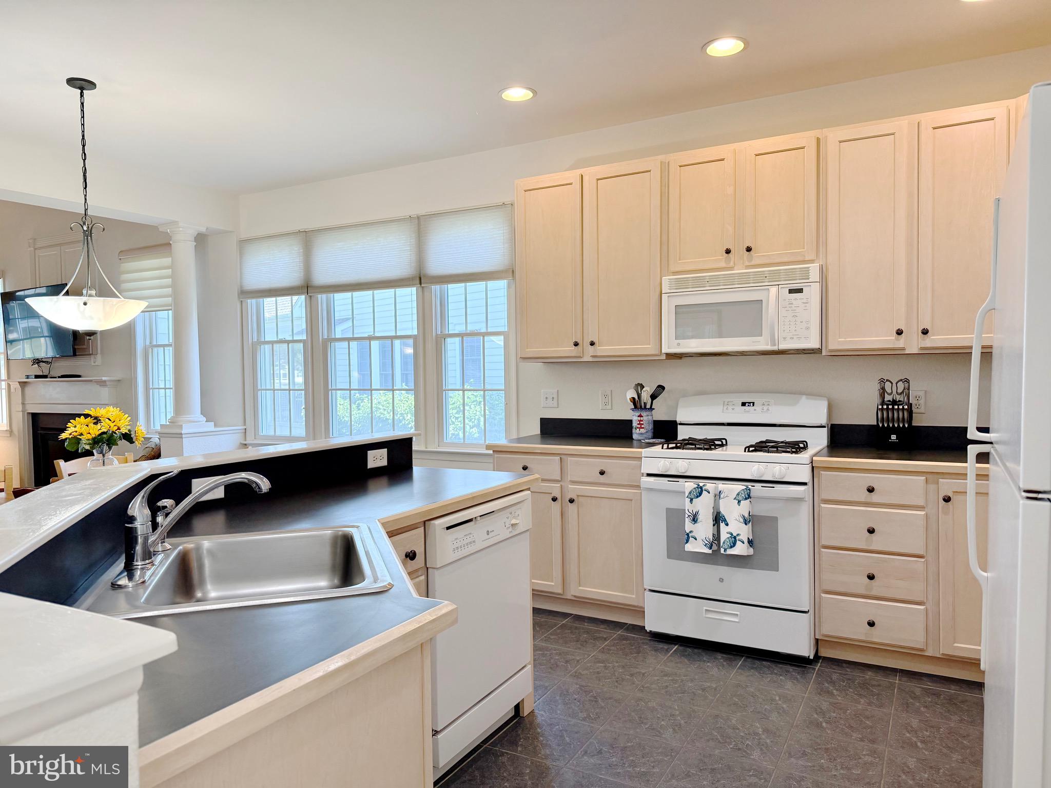 BEAR TRAP - Residential