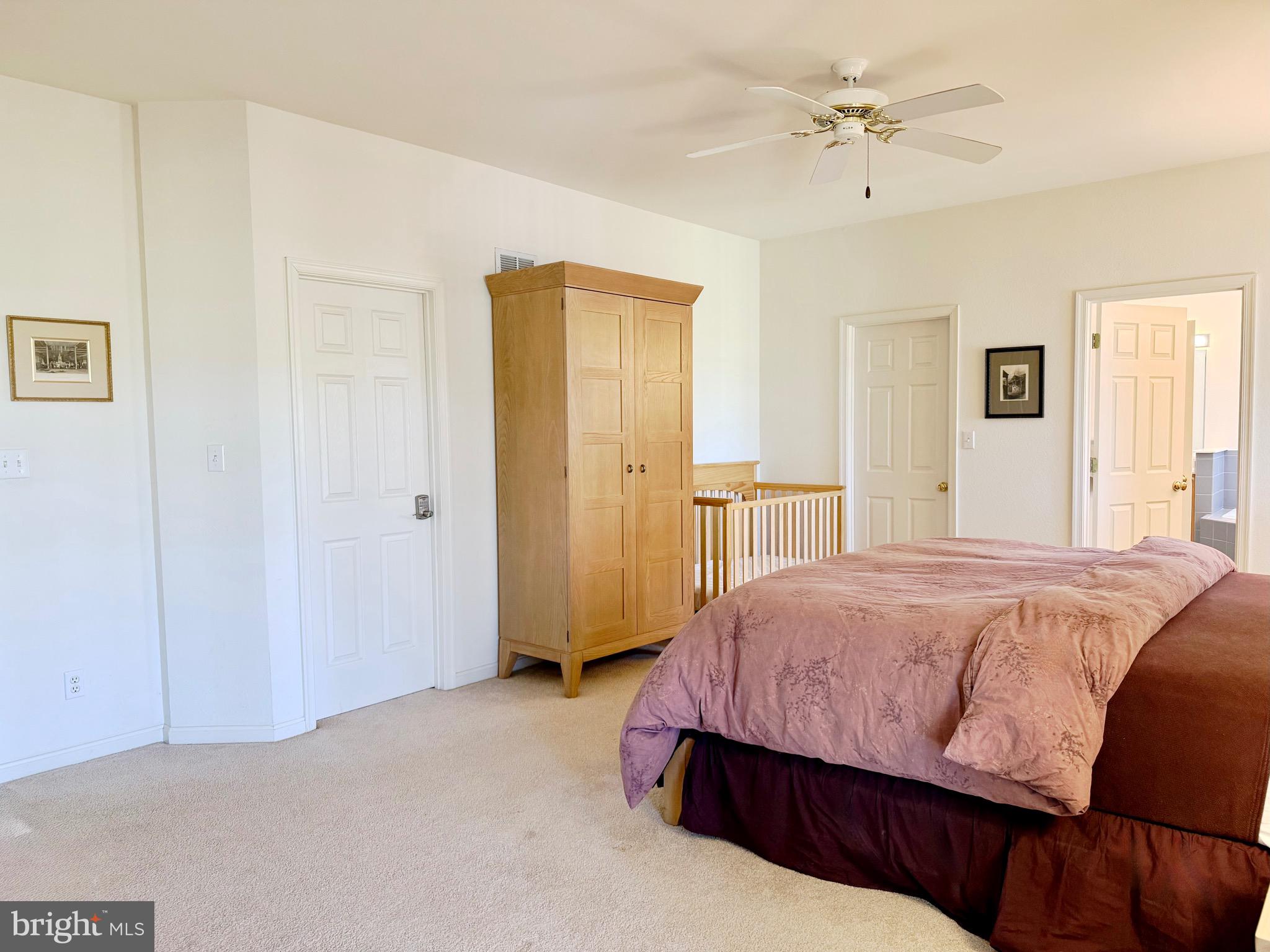 BEAR TRAP - Residential