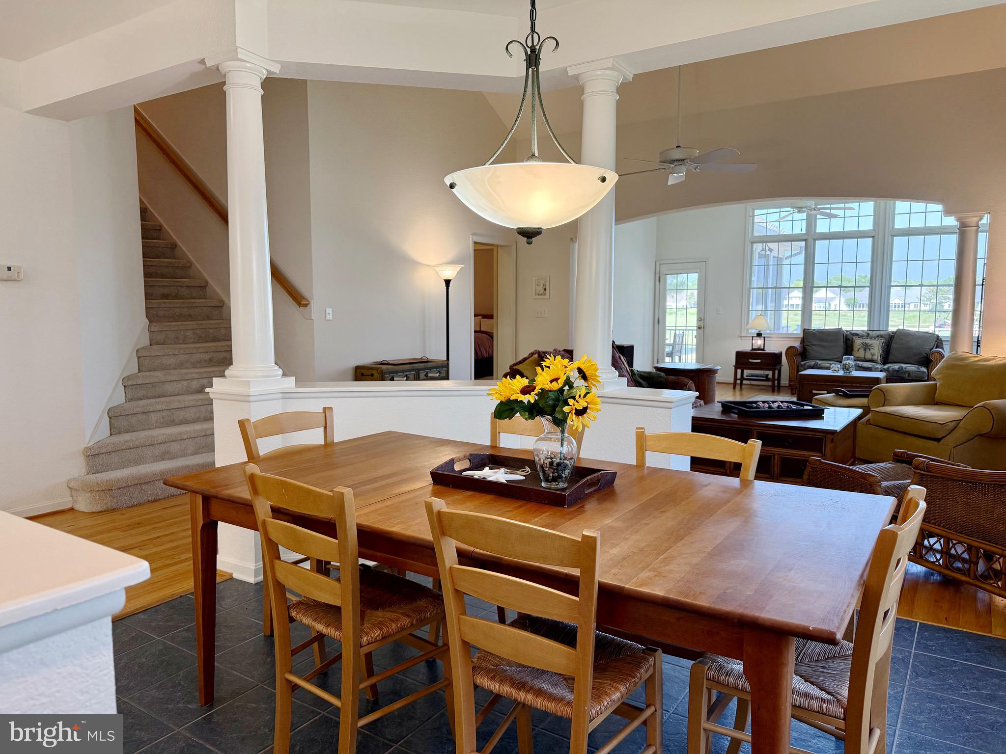 BEAR TRAP - Residential