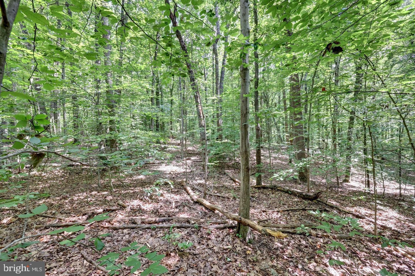 Discover the perfect opportunity to build your dream home on this beautiful 5.02-acre buildable lot in the desirable Glenverdant community of Fairfax County. Nestled in a peaceful, wooded setting, this RC (Residential Conservation) zoned property offers exceptional privacy while remaining conveniently located near major commuter routes, shopping, dining, and top-rated Fairfax County schools. With over five acres of gently rolling land, the property provides ample space for a custom residence while preserving the natural beauty of its surroundings. Enjoy the rare combination of seclusion and accessibility in one of Northern Virginia's most sought-after locations. Bring your builder and create the home you've always envisioned.