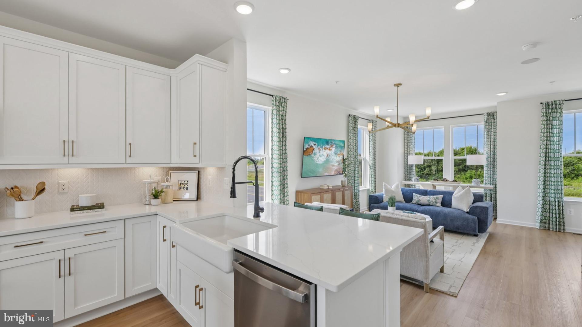 PARK PLACE AT BALLENGER - Residential