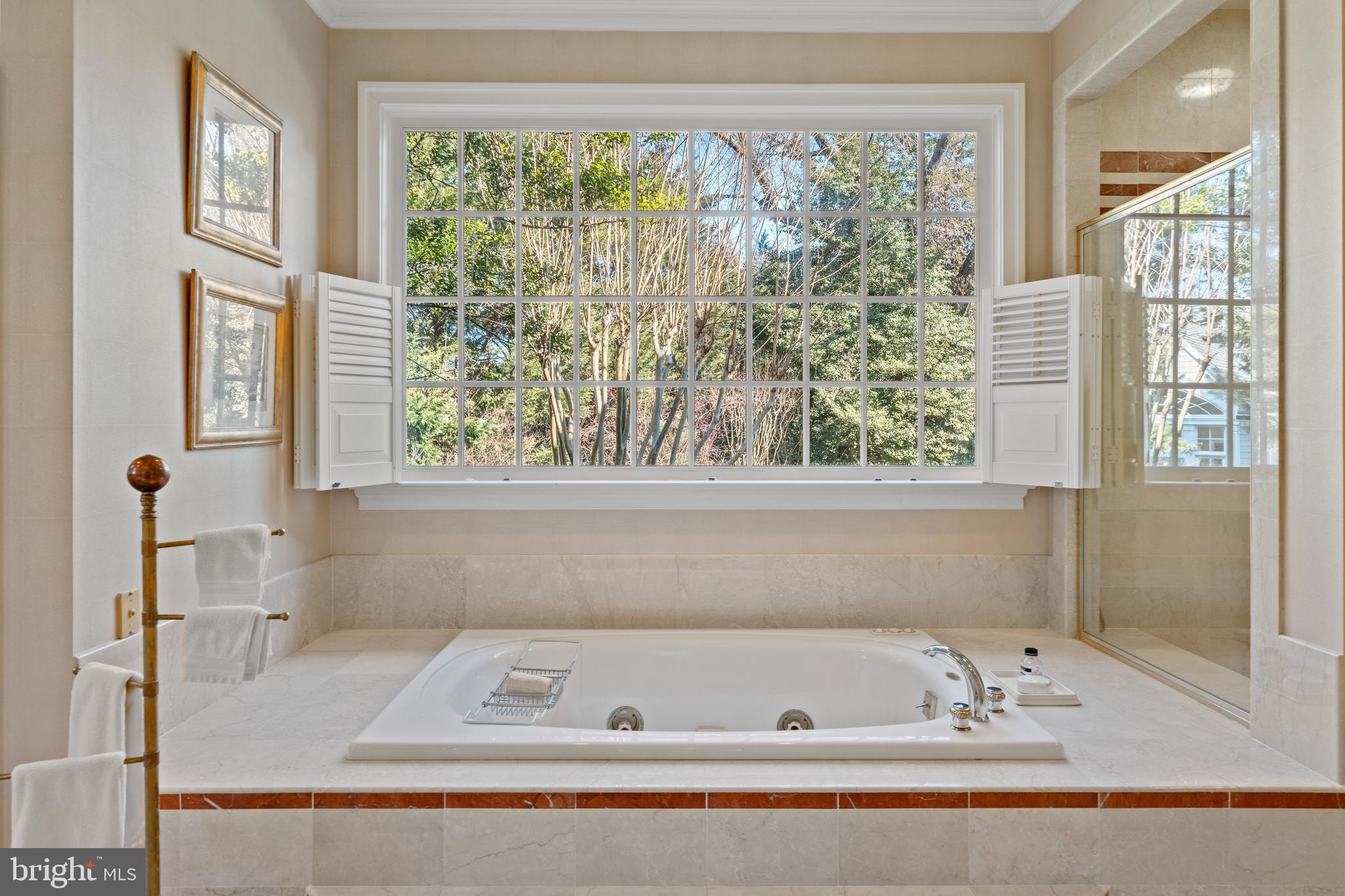 LANGLEY FARMS - Residential
