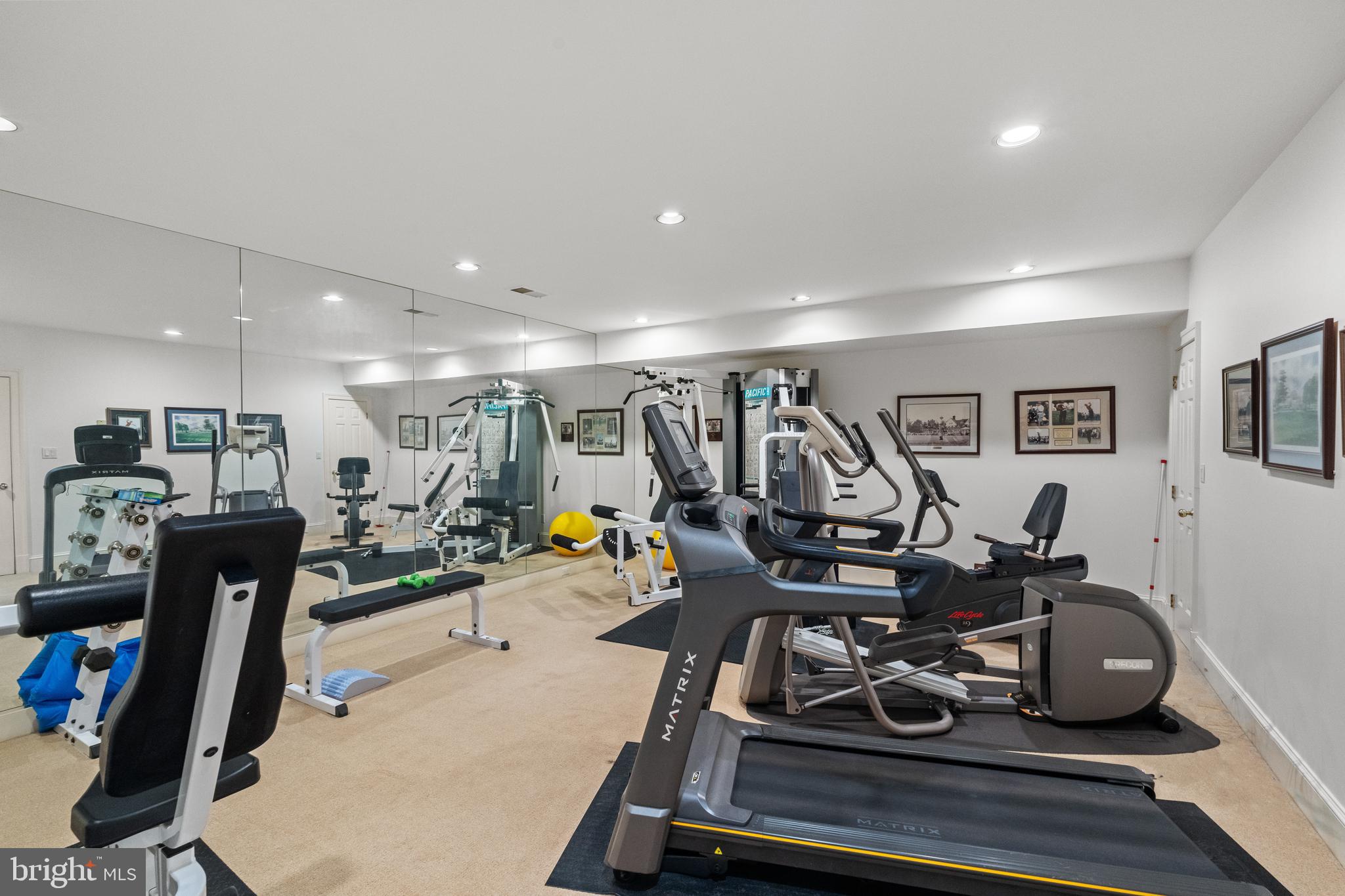 LANGLEY FARMS - Residential