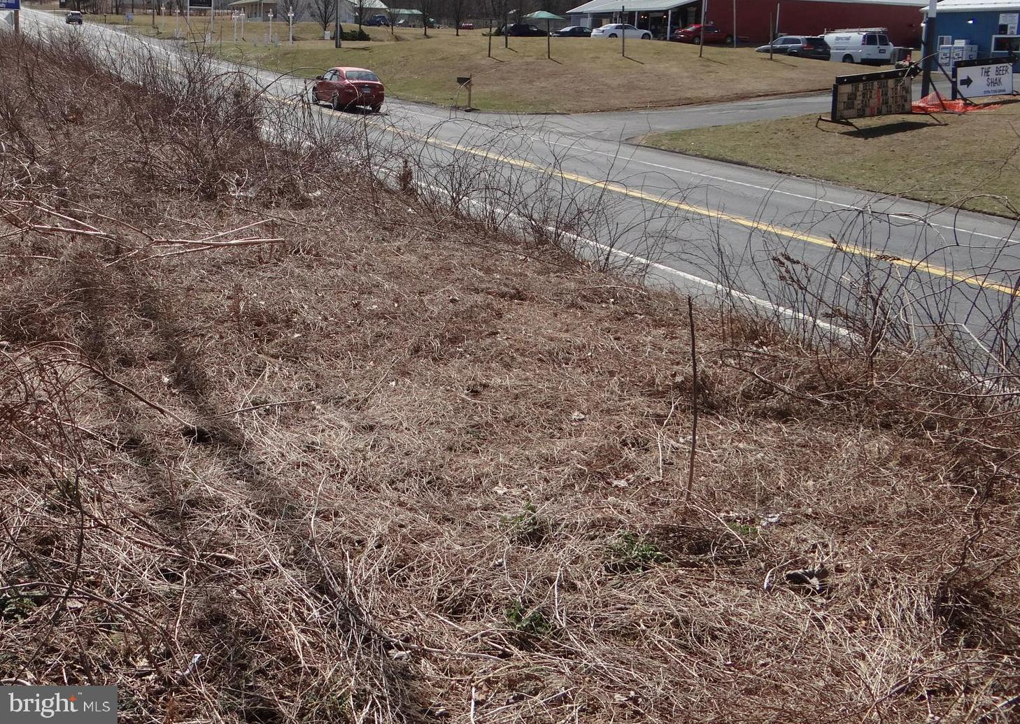 PRIME COMMERCIAL LOCATION!!!  Great location for your new business! 2 level & cleared lots in busy area on 183. Road frontage off Rte 183 & Plum Creek Rd. Plus possible road access of both Rte 183 & Plum Creek Rd!!  High traffic area! Close to Lake Wynonah community & other new businesses. Two perc approvals.
