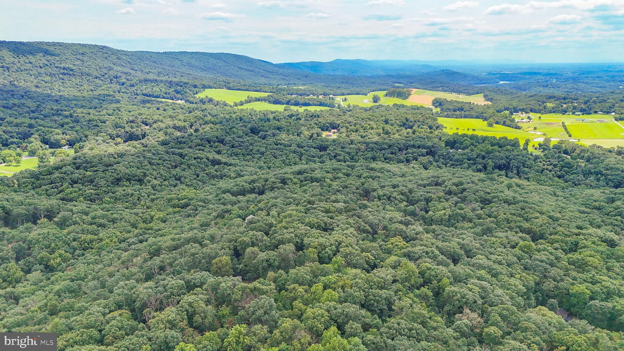 POTOMAC VISTAS - Land