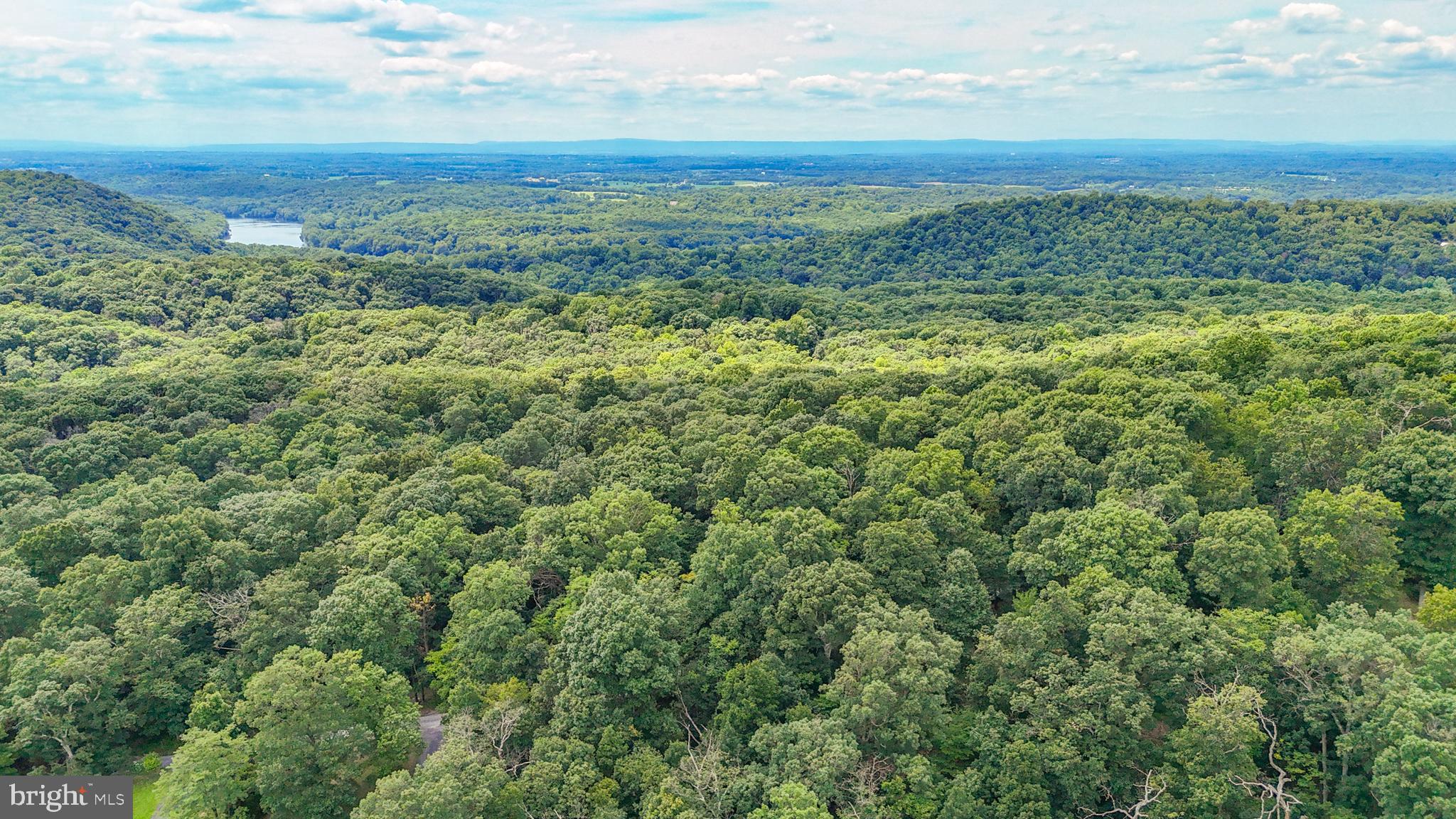 POTOMAC VISTAS - Land