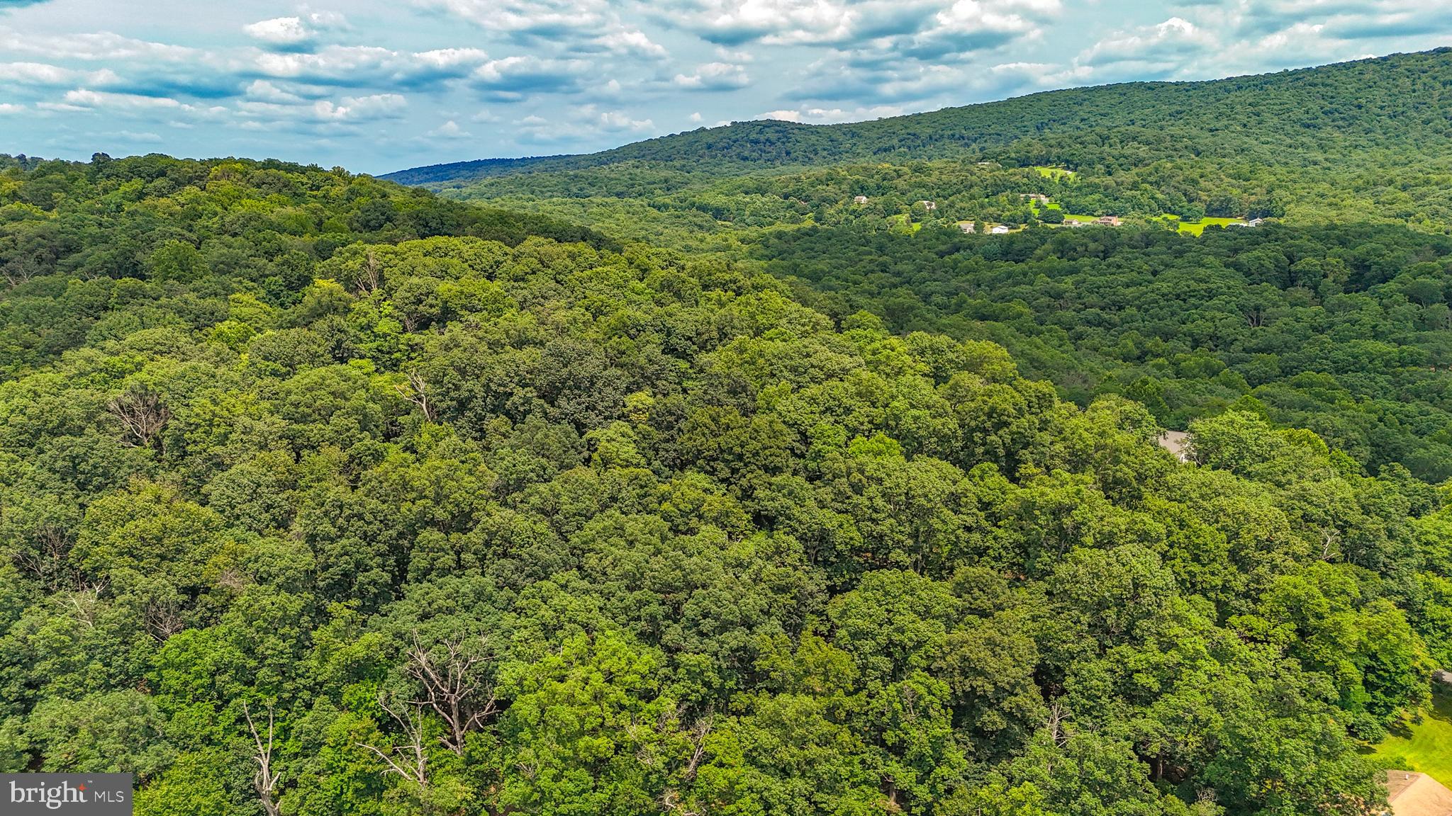 POTOMAC VISTAS - Land