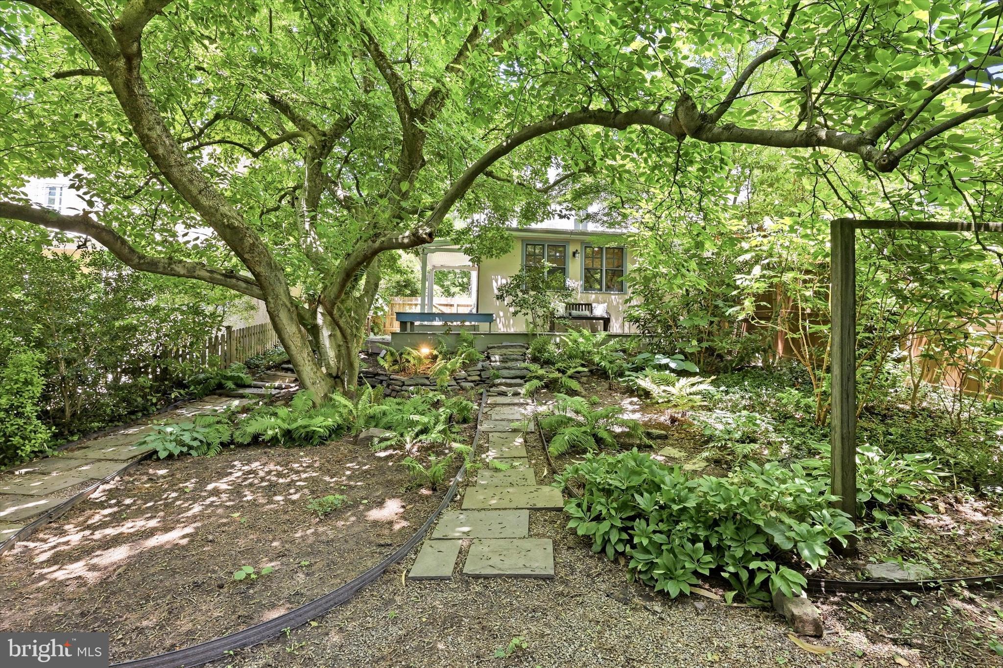 CHESTNUT HILL - Residential