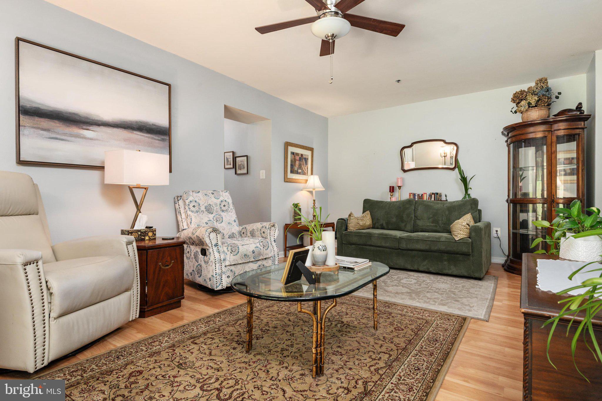 VILLAGE OF MONTGOMERY RUN - Residential