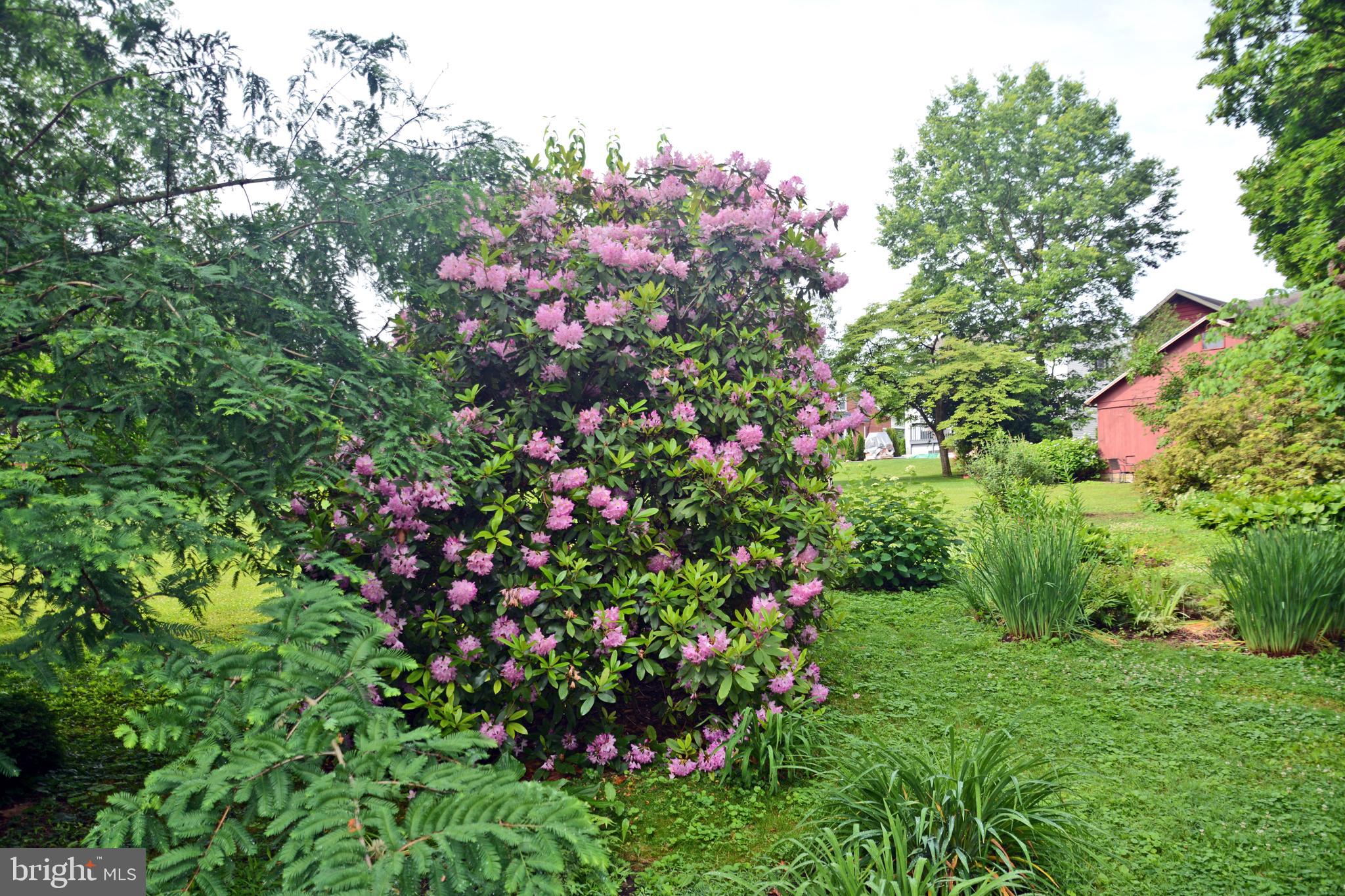 MILLERSVILLE - Residential