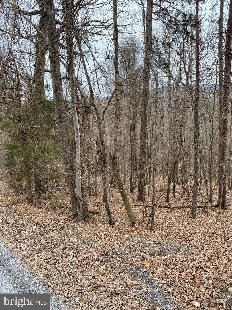 Great opportunity to own a buildable mountain lot in the desirable Shen Farms/Camel’s Back community! This wooded 1.02-acre parcel offers privacy, mountain views, and a peaceful natural setting ideal for a full-time residence, vacation cabin, or weekend escape.  The property was previously approved for a 4-bedroom septic system.  Located near hiking trails, the Shenandoah River, wineries, and endless outdoor recreation, while still offering convenient access to Front Royal, Route 50, and I-66.  Come experience the quiet beauty of the mountains and bring your vision to life.