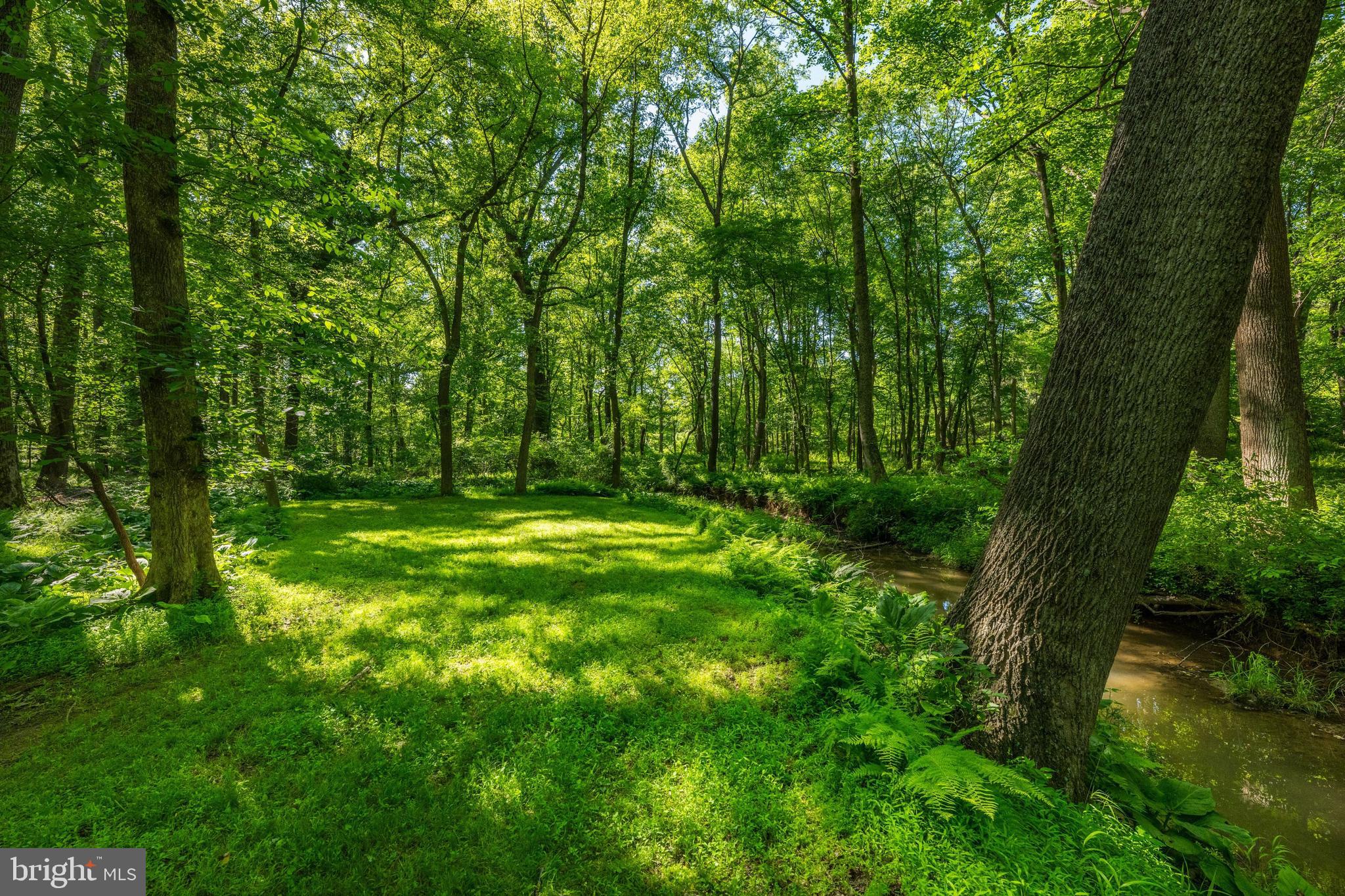 GOSHEN HUNT HILLS - Residential