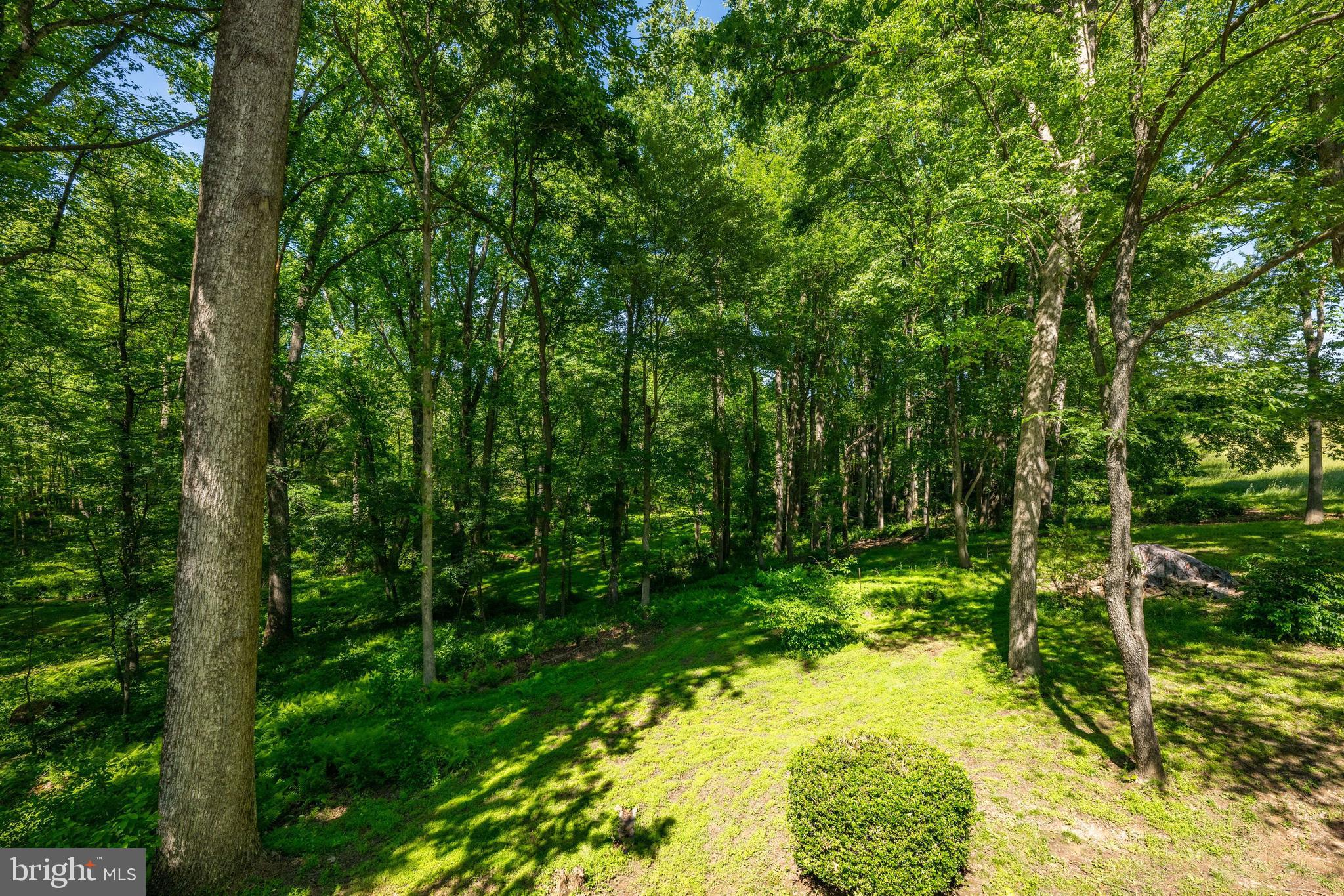 GOSHEN HUNT HILLS - Residential